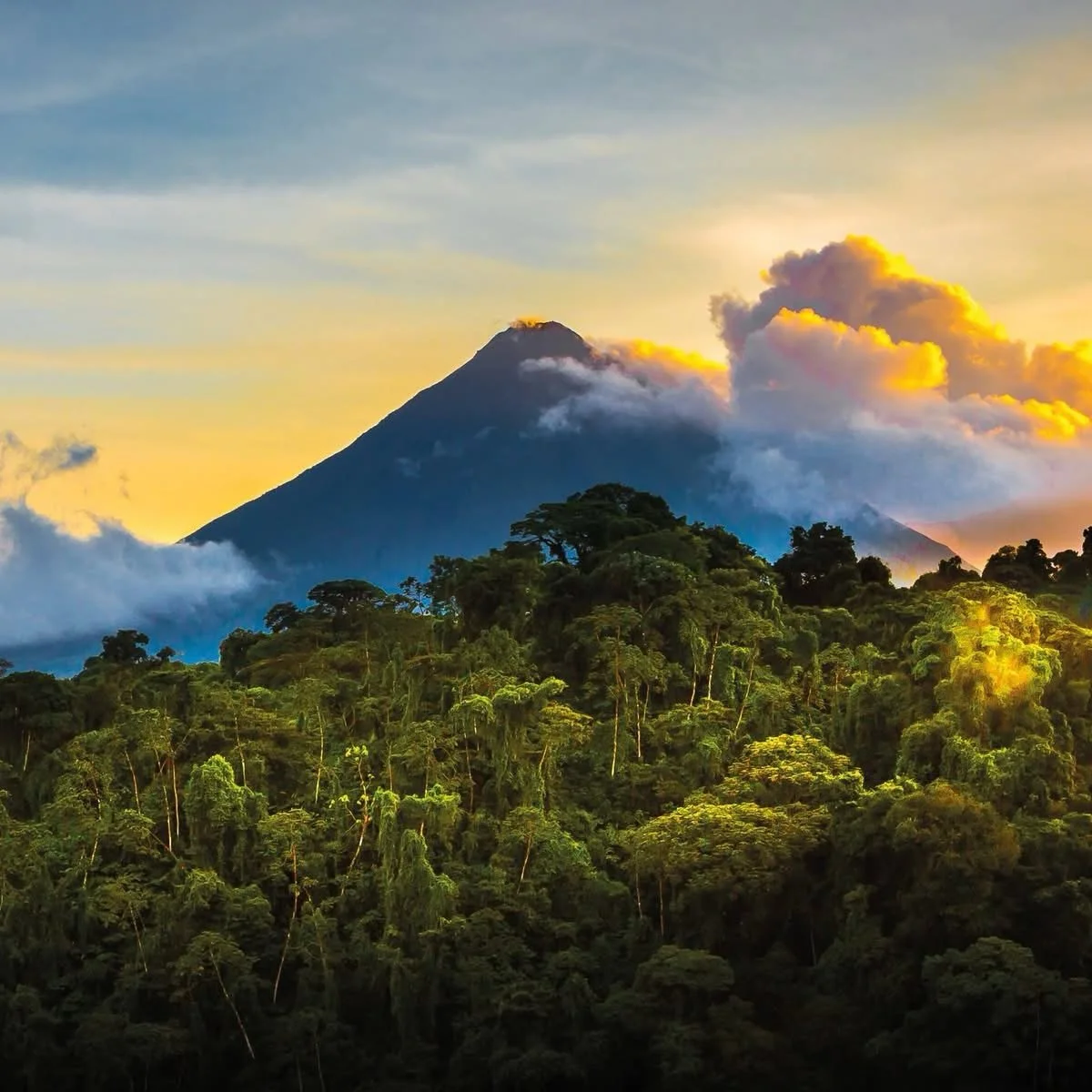 𝗜𝘁𝗶𝗻𝗲𝗿𝗮𝗿𝘆: San Jos&eacute;; La Fortuna; Monteverde; Manuel Antonio; San Jos&eacute;

𝗗𝗲𝘀𝗶𝗴𝗻𝗲𝗱 𝗳𝗼𝗿 𝗳𝗮𝗺𝗶𝗹𝗶𝗲𝘀&hellip;

&bull; 🌉 Walk the famous hanging bridges and explore cloud forest trails

&bull; 🍫 Discover the secrets 