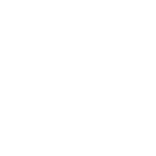Royal Caribbean.png