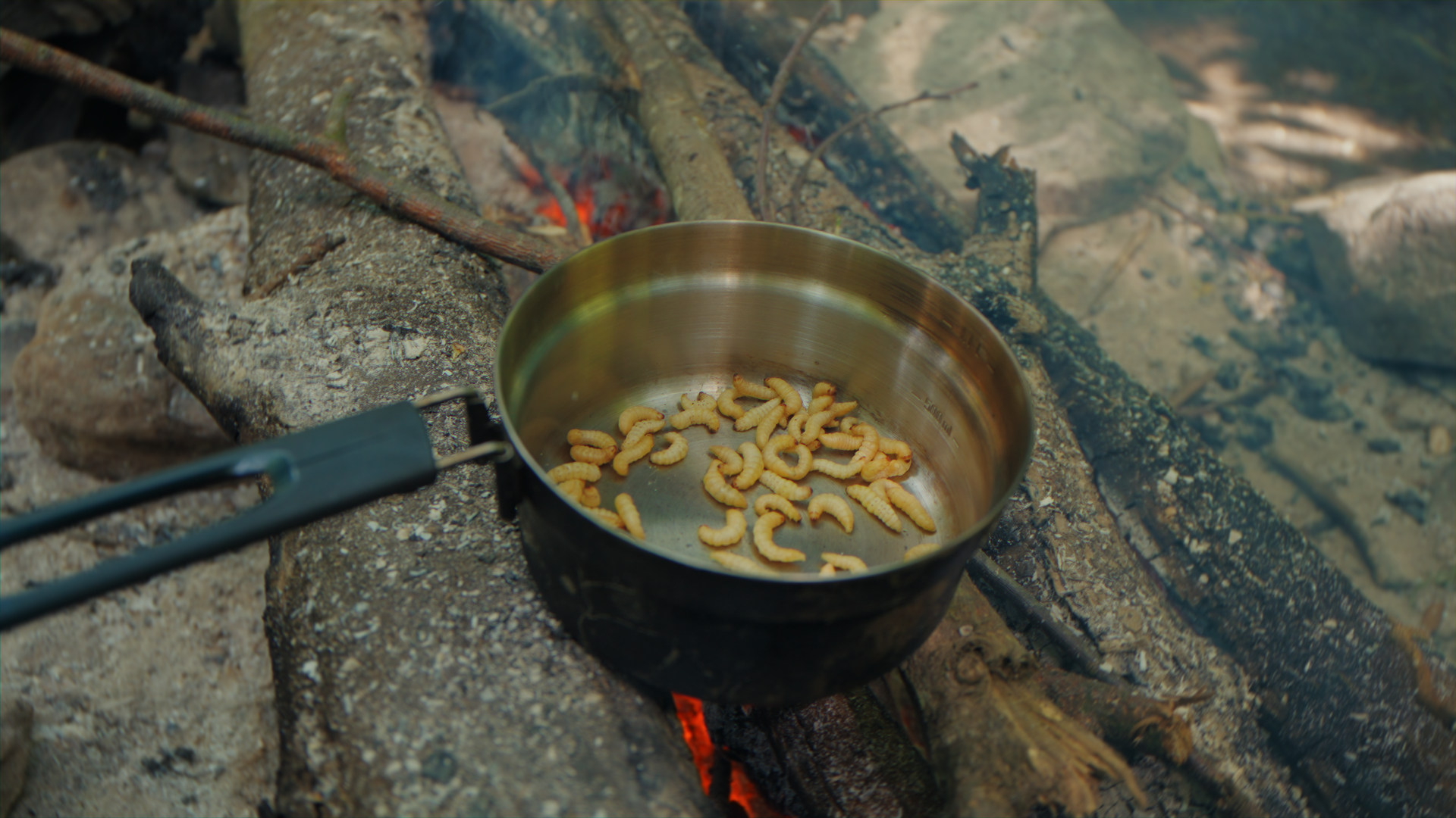 Mirtilli essiccati in una pentola sopra un fuoco di legna acceso.