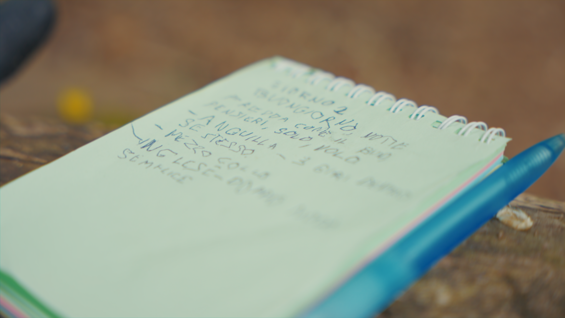 Pagina di quaderno con scritte in italiano e una penna blu accanto, inquadrature ravvicinata.