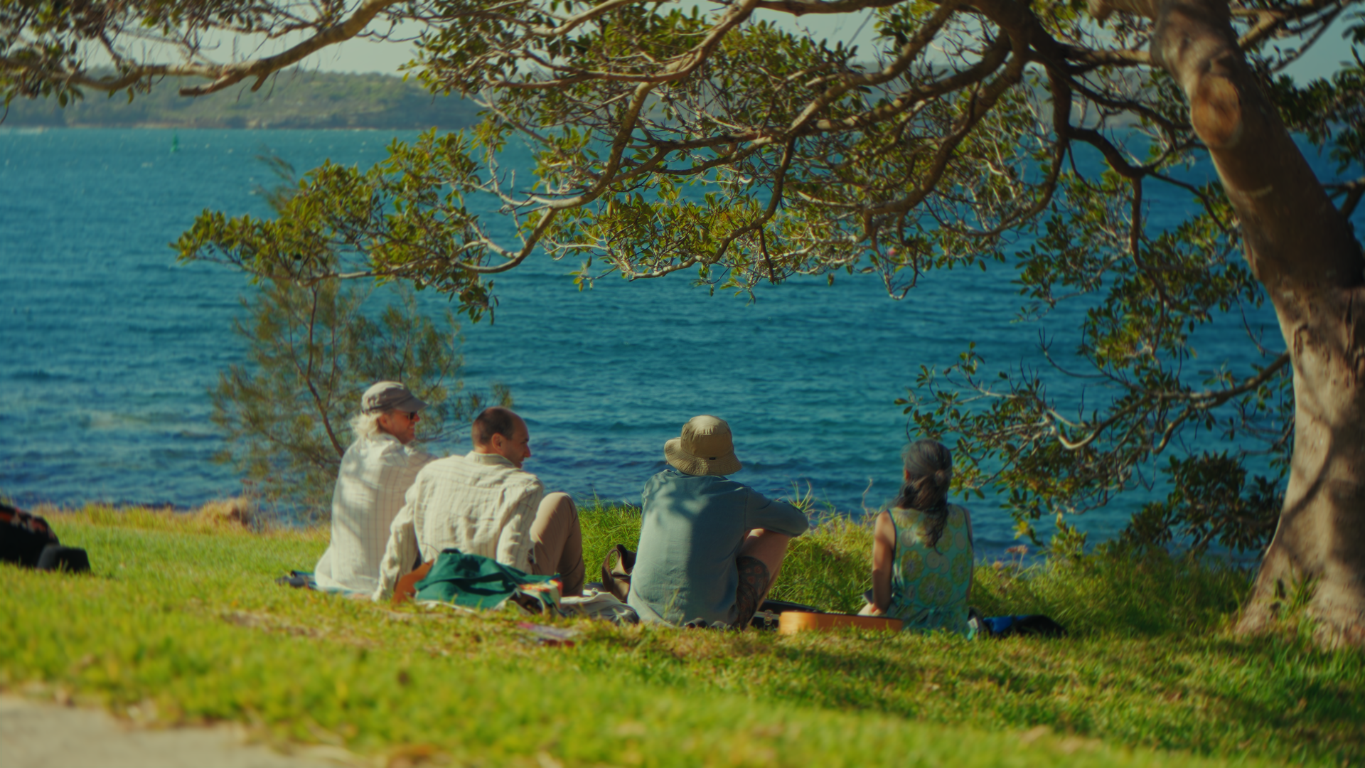Cinquette persone sedute sull'erba vicino al mare, con alberi in ombra, in un ambiente naturale soleggiato.