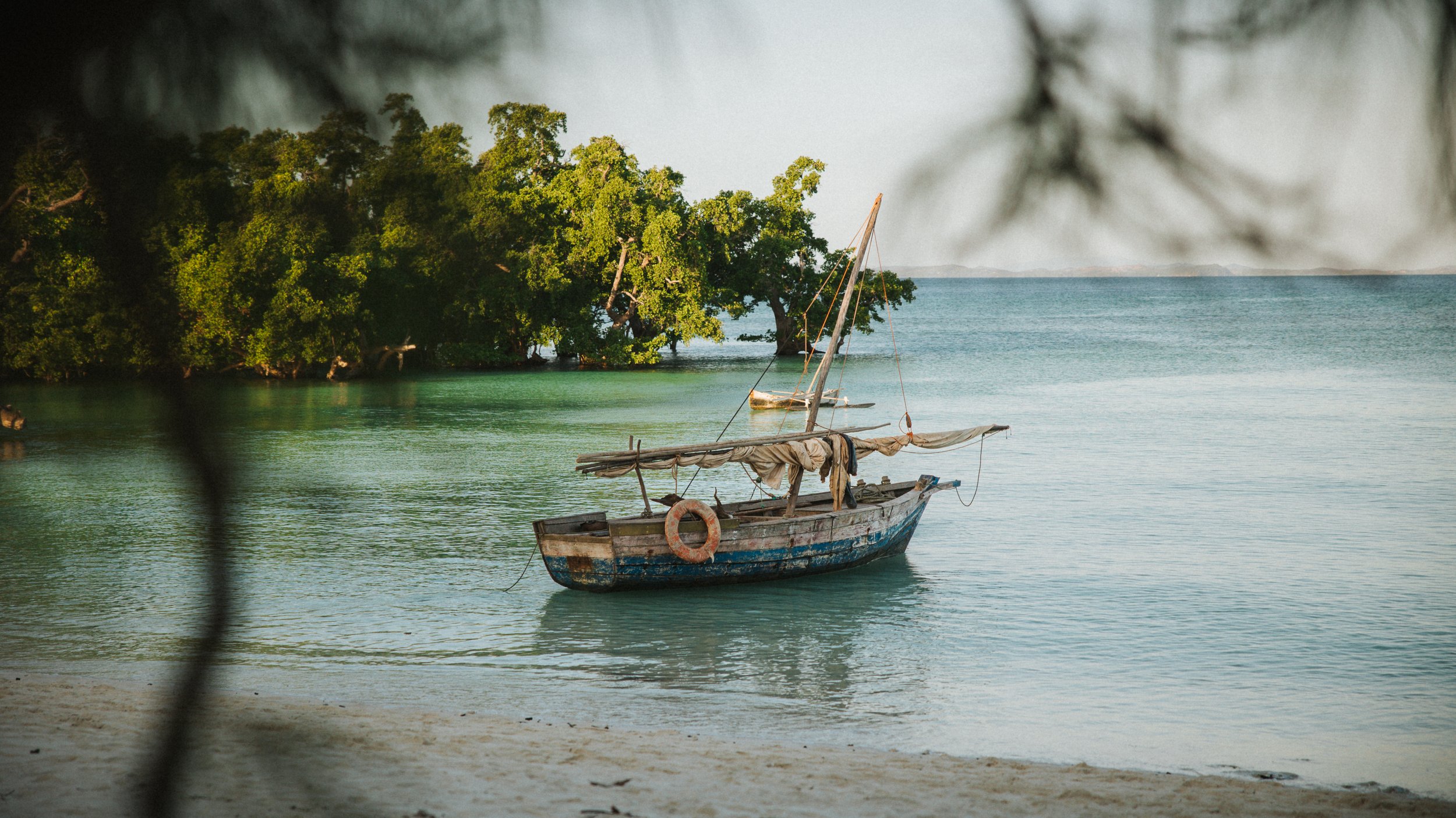 Una barca a vela in mare vicino a una spiaggia, con alberi verdi sullo sfondo.