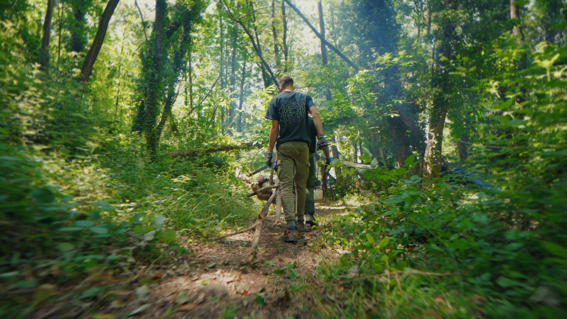 Due persone che camminano lungo un sentiero nel bosco, circondate da alberi e vegetazione verde