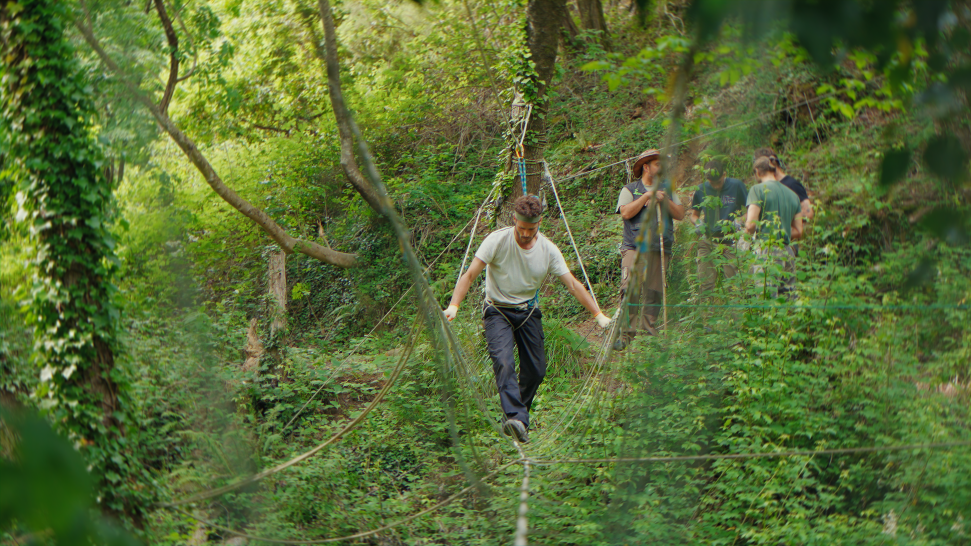 Gruppo di persone attraversano un ponte sospeso in un bosco verde, con alberi e vegetazione abbondanti.