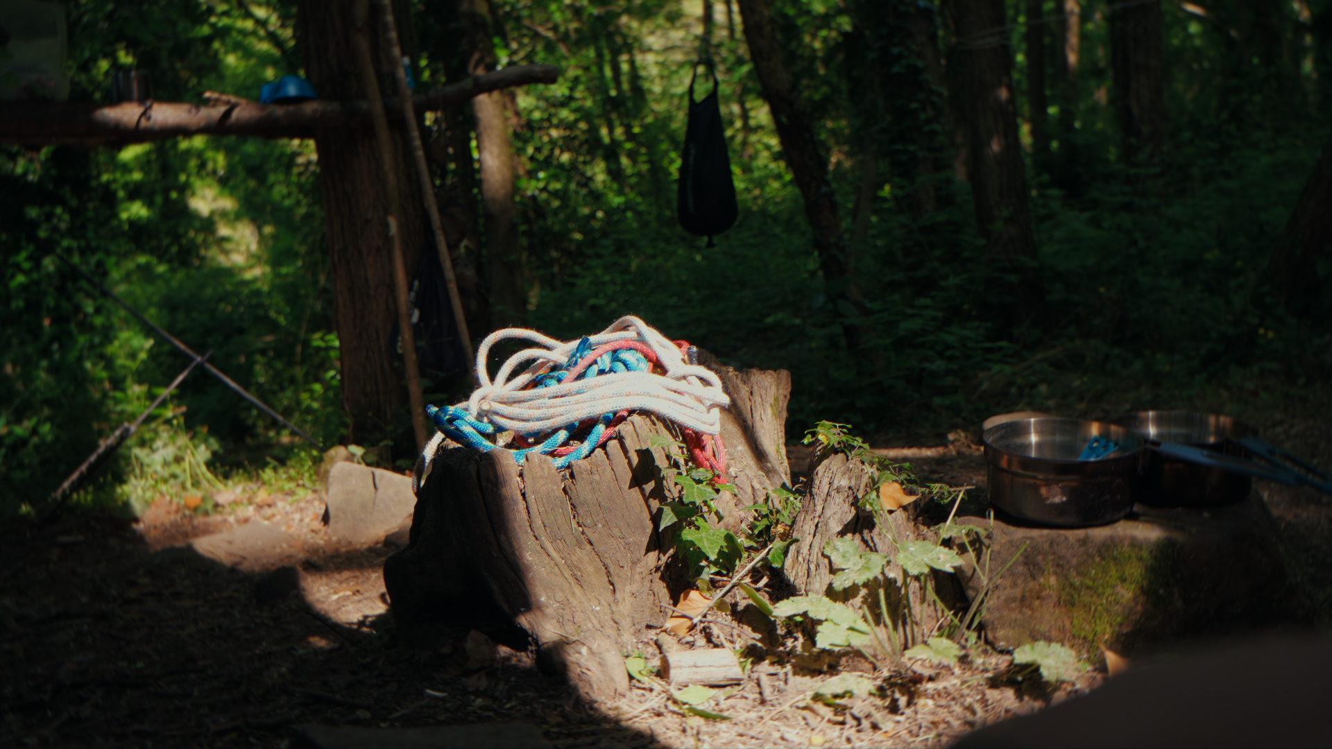 Attrezzatura da arrampicata su un tronco con corde colorate, ciotole in metallo e altri oggetti in un ambiente naturale boschivo