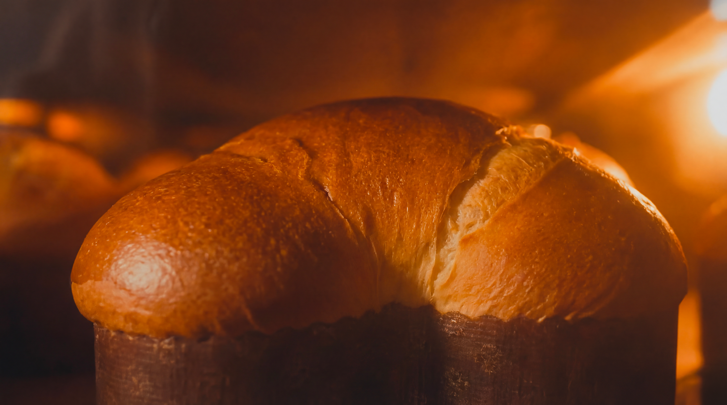 Pane appena sfornato in cottura nel forno