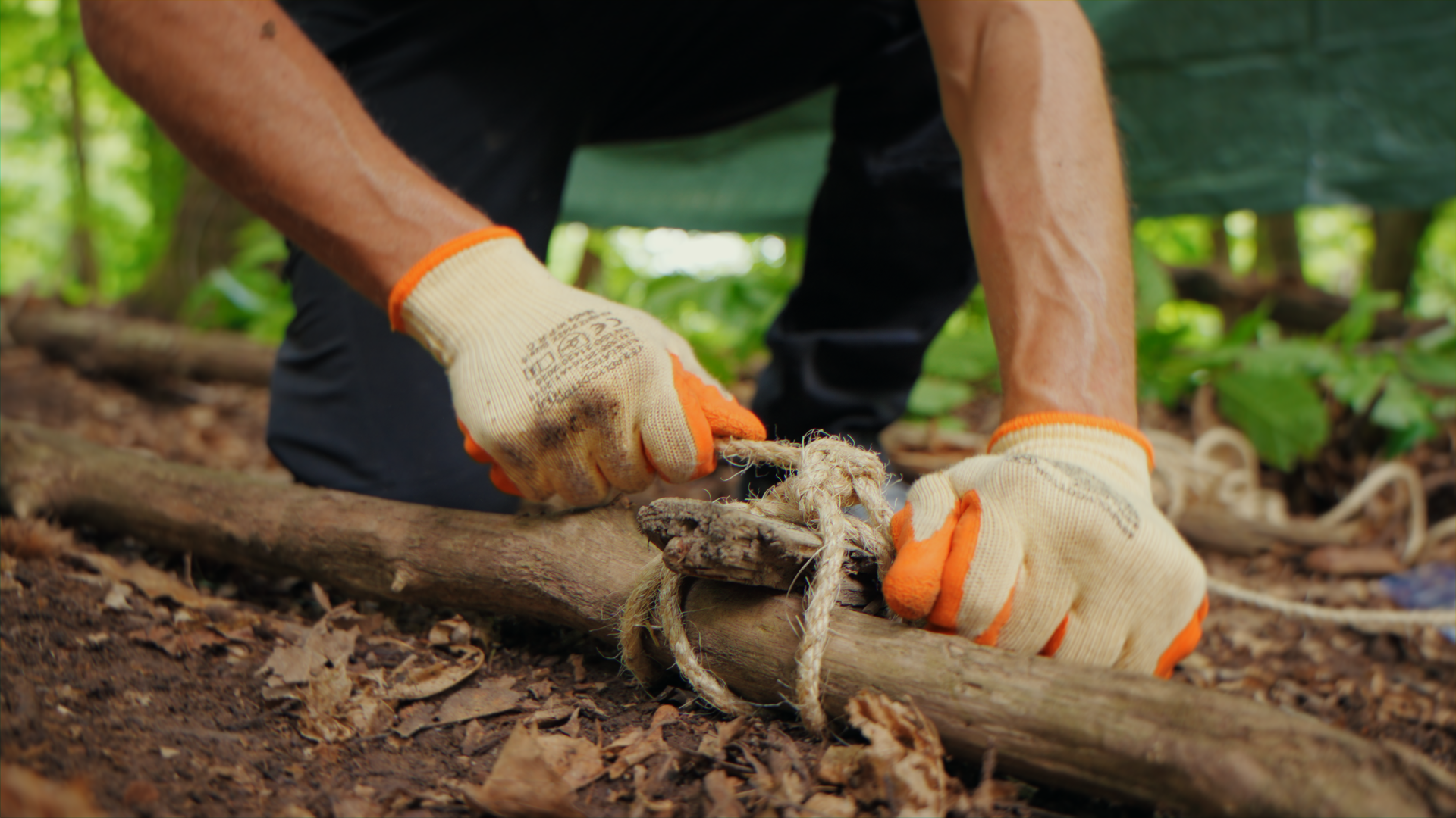 Una persona con guanti da lavoro sta legando una corda attorno a un tronco d'albero in un ambiente naturale, probabilmente nel bosco.