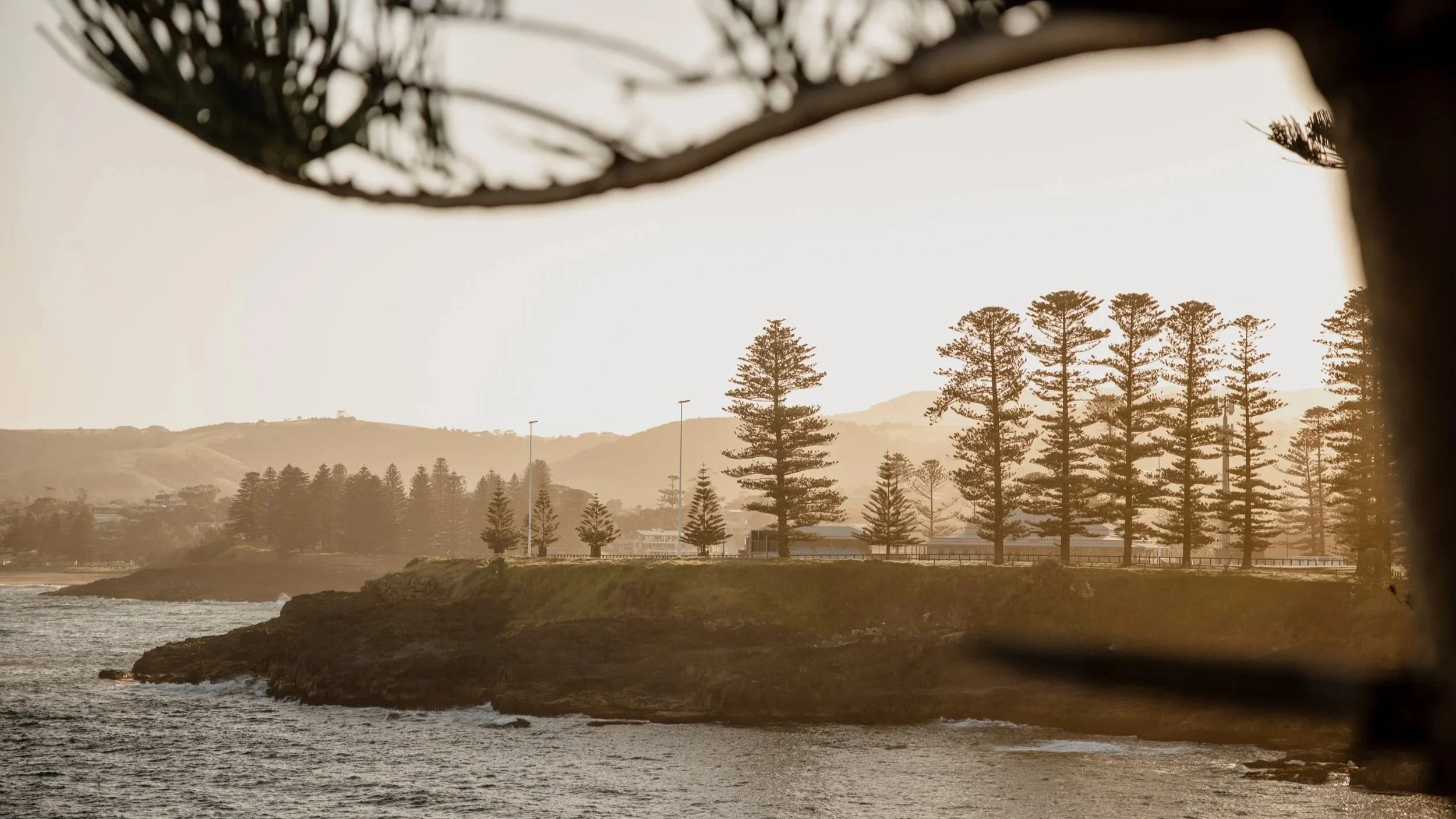 Vista della costa con alberi al tramonto, vista parziale di una barca o di una struttura galleggiante in primo piano.