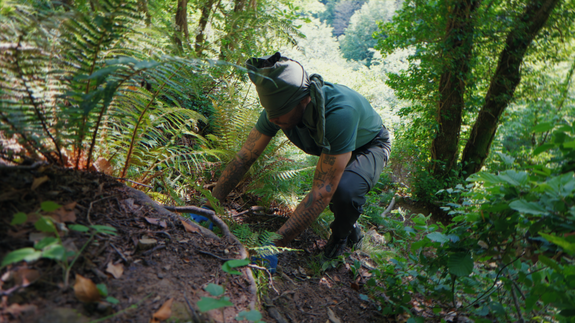 Uomo che pianta una piccola pianta in un'area boschiva densa di felci e alberi, indossa abbigliamento da escursionismo e un cappello avvolto attorno alla testa.