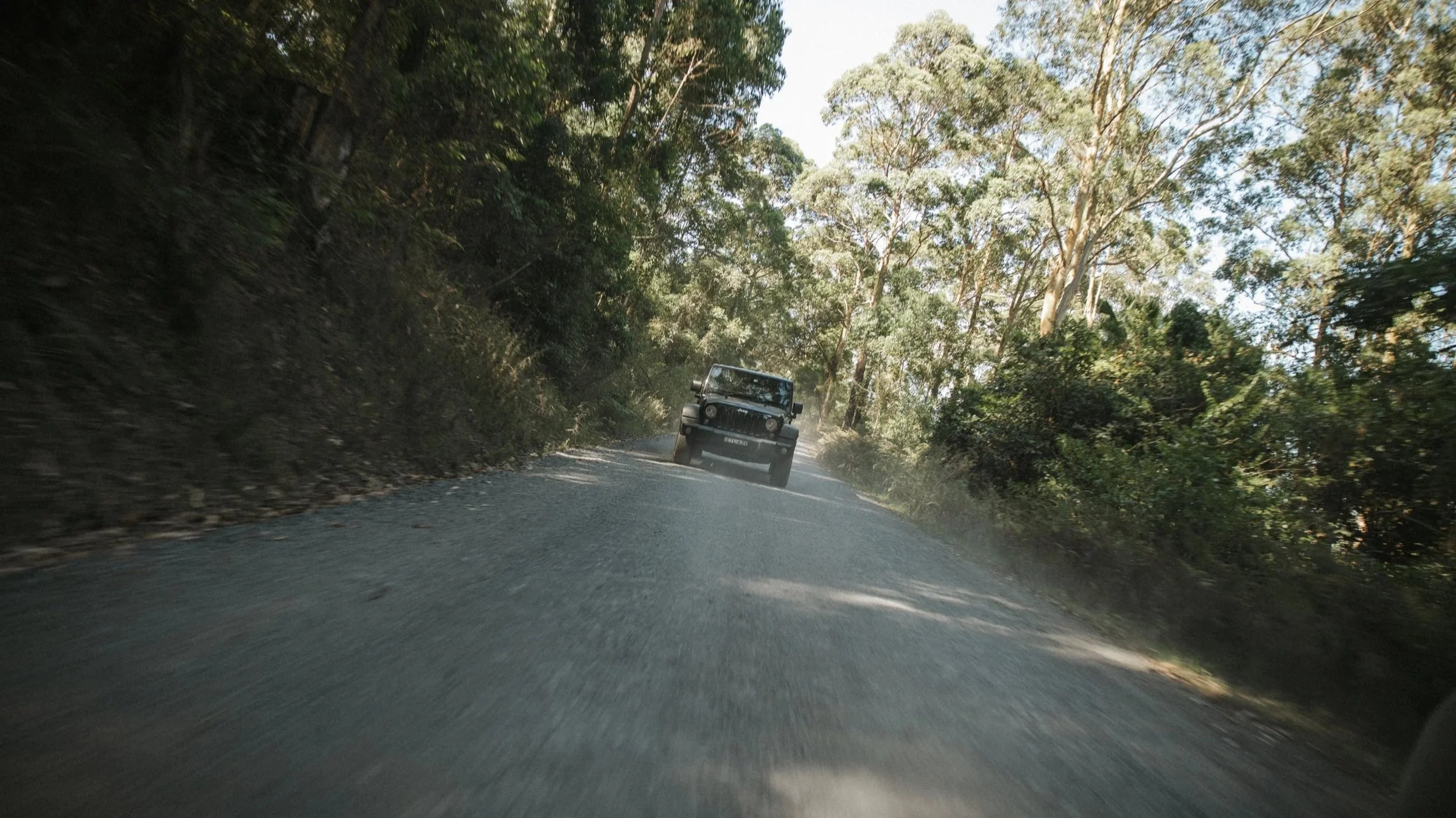 Un veicolo su una strada sterrata circondata da alberi e vegetazione.