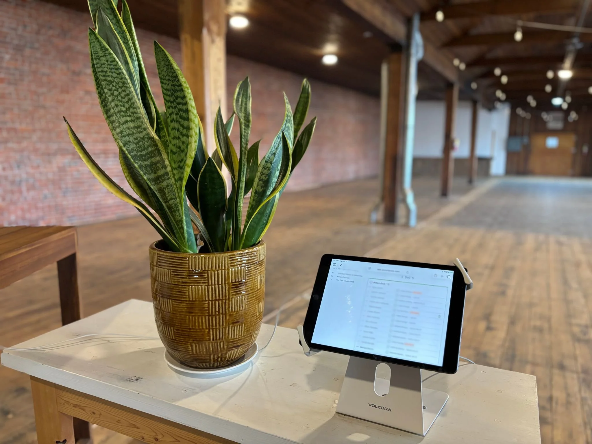 Untitled design-6.jpg