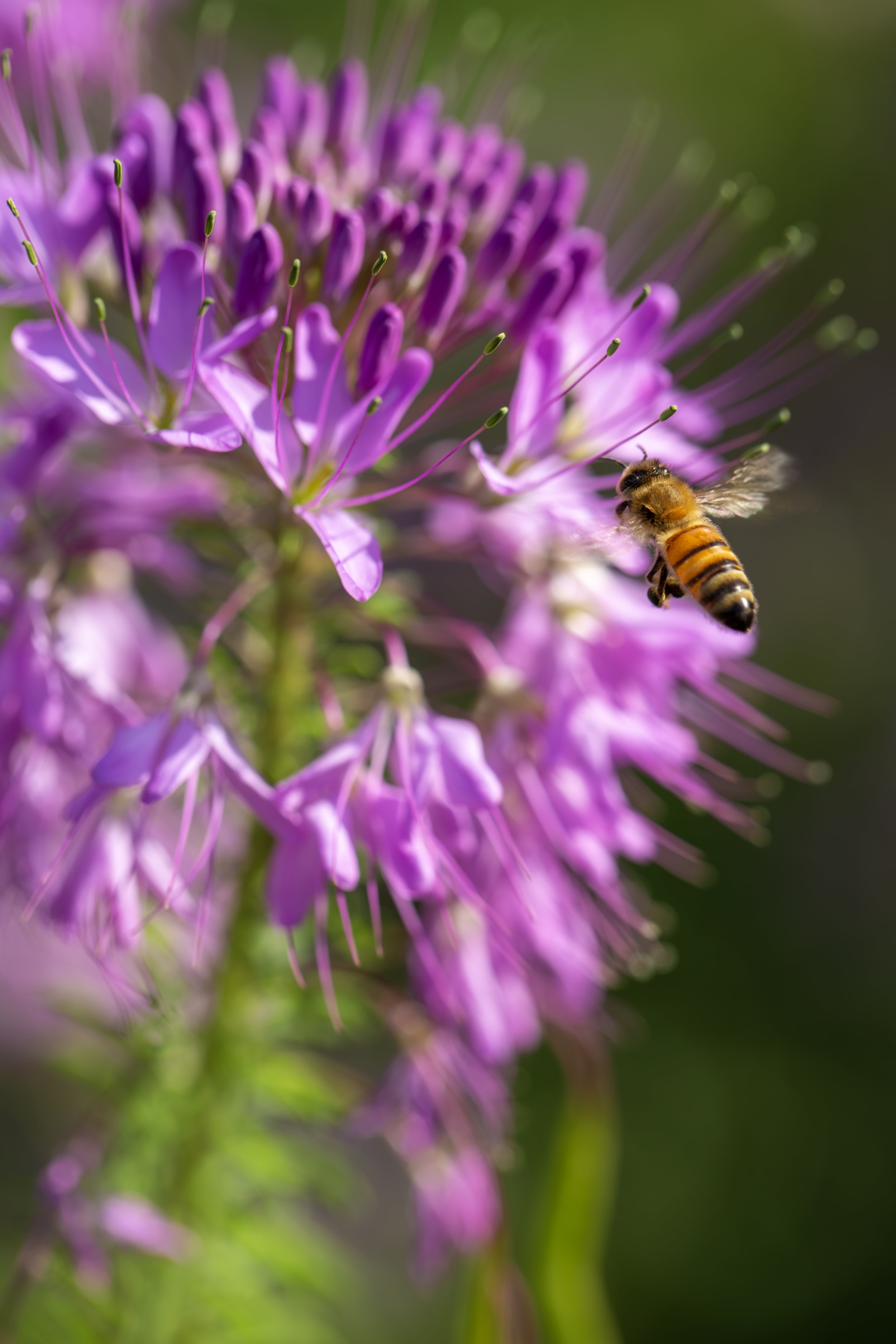 _M6A6027 copy3624.jpg