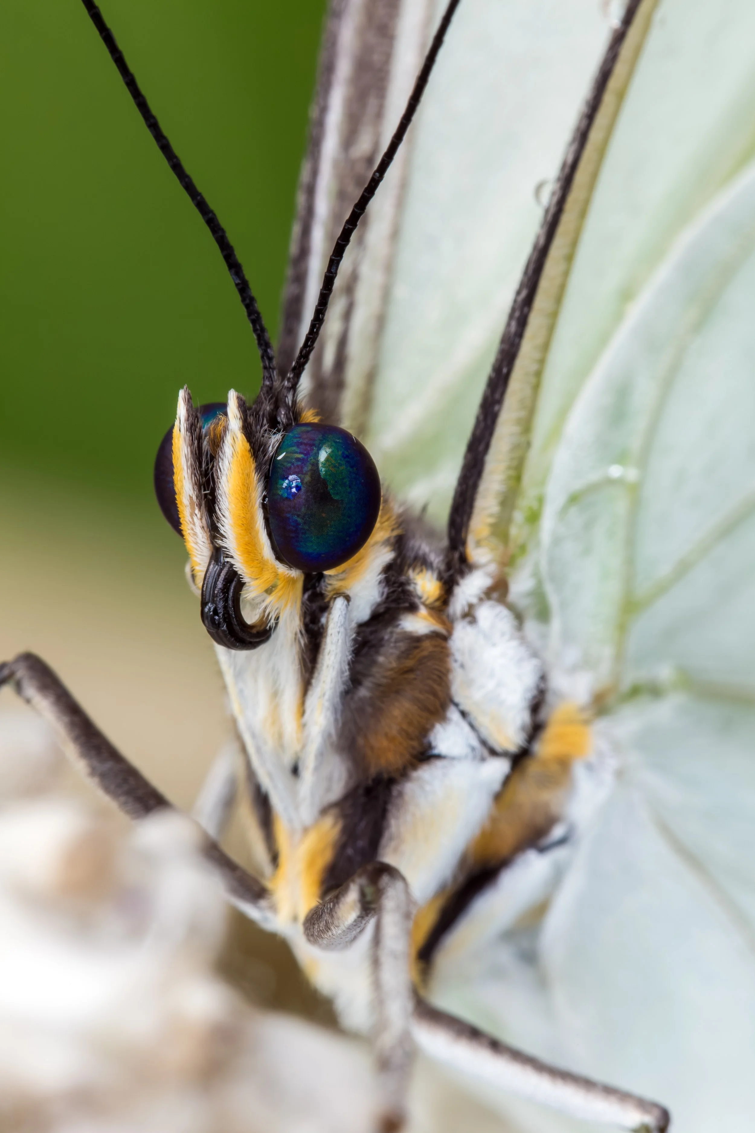 HM6A2909_4_3 copy.jpg