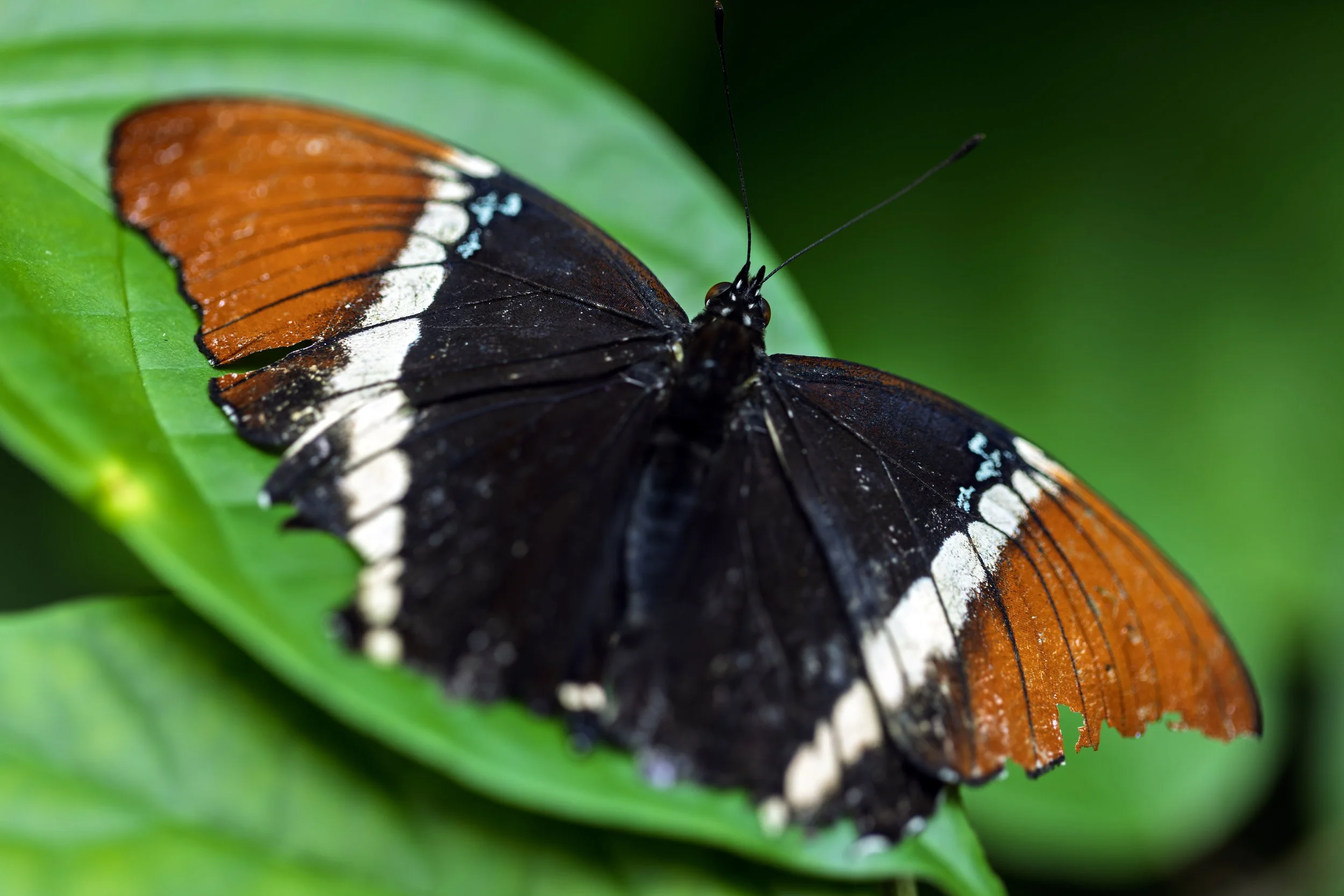 KK5A2469 copy 2+++.jpg