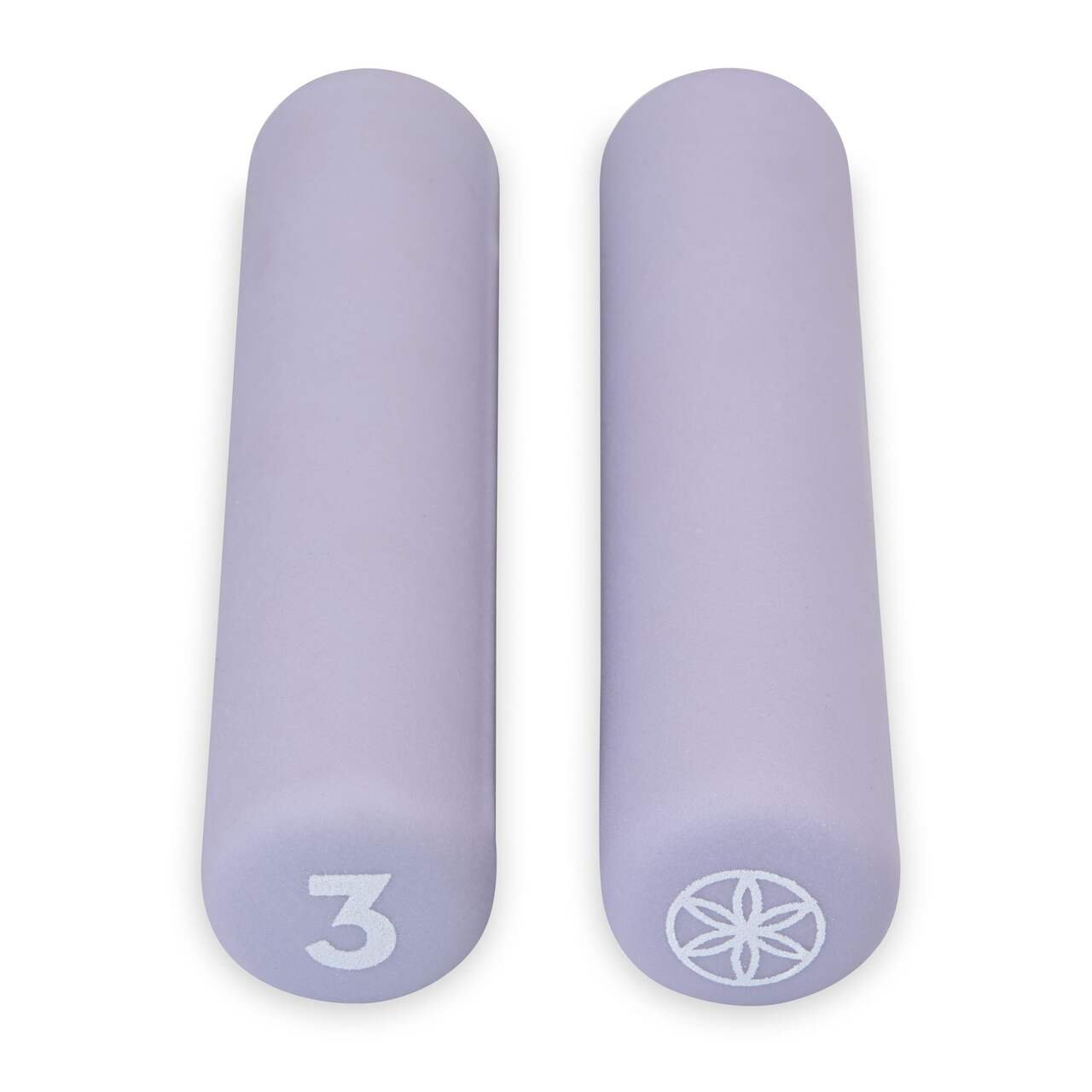 Gaiam Arm Weights