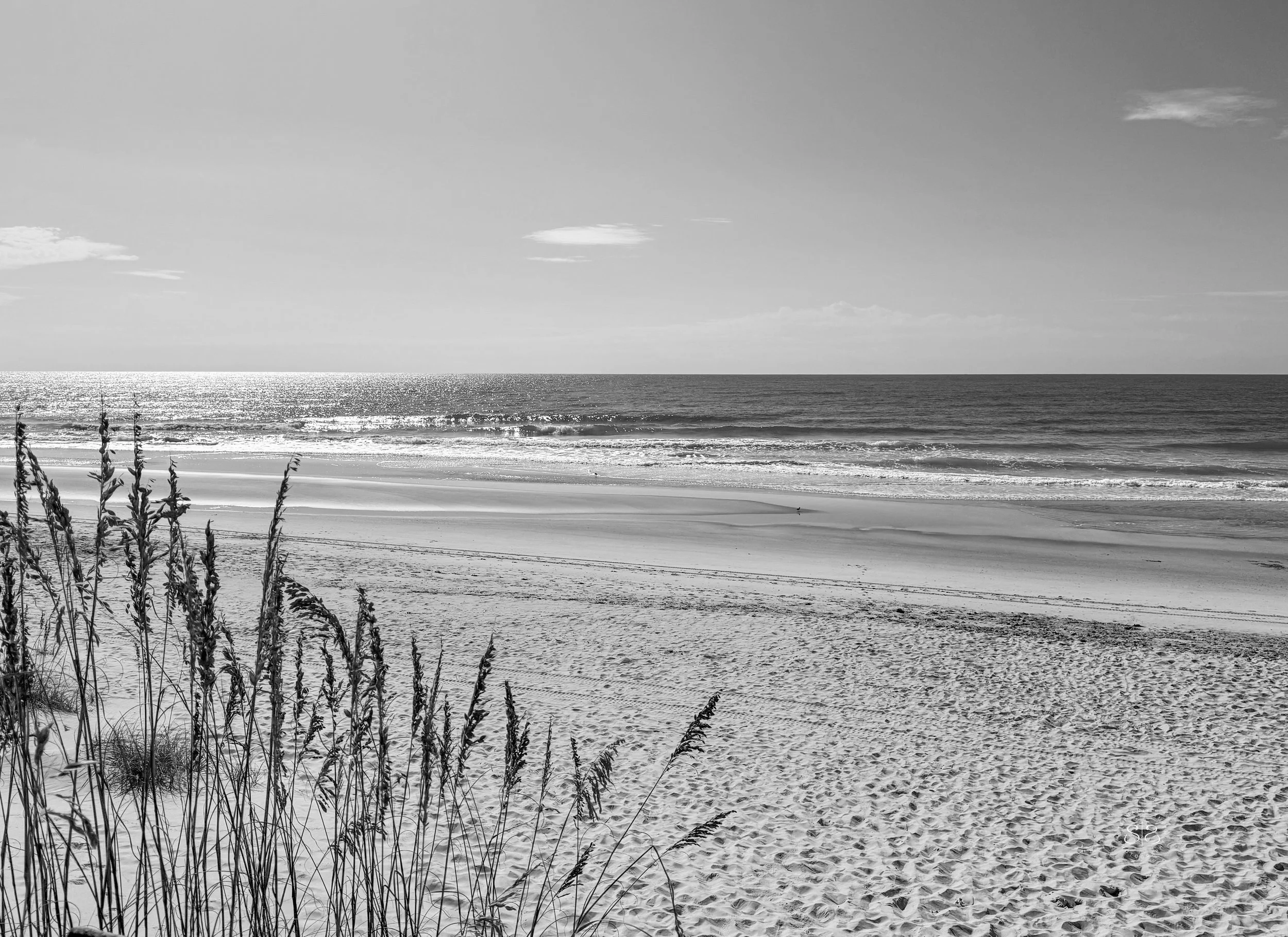 2025: An Unexpected Diagnosis and Unexpected Gratitude