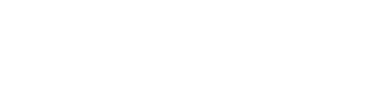 Berner Verband für Familienbegleitung – BeVF