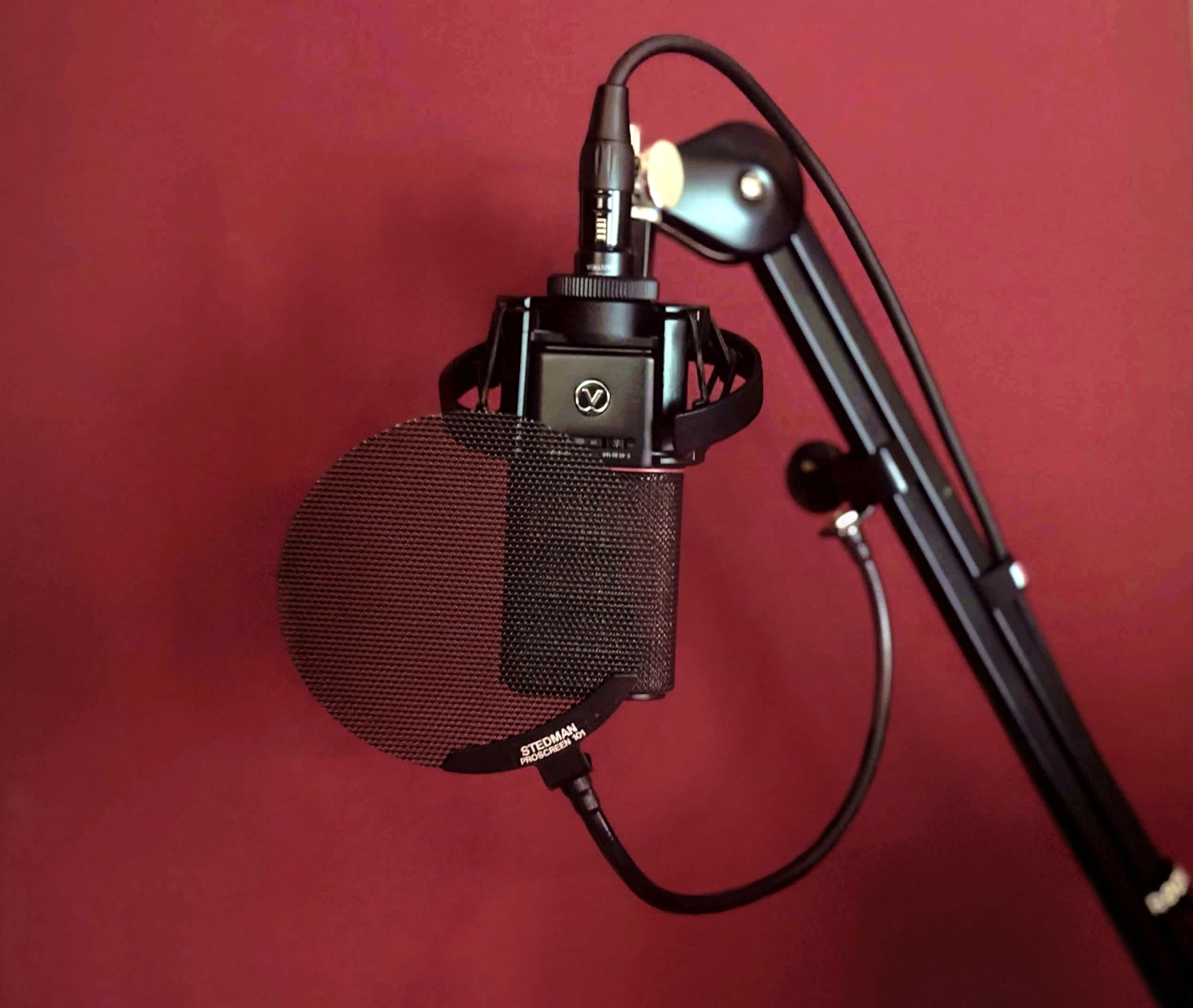 Bay's Austrain Audio OC18 Microphone