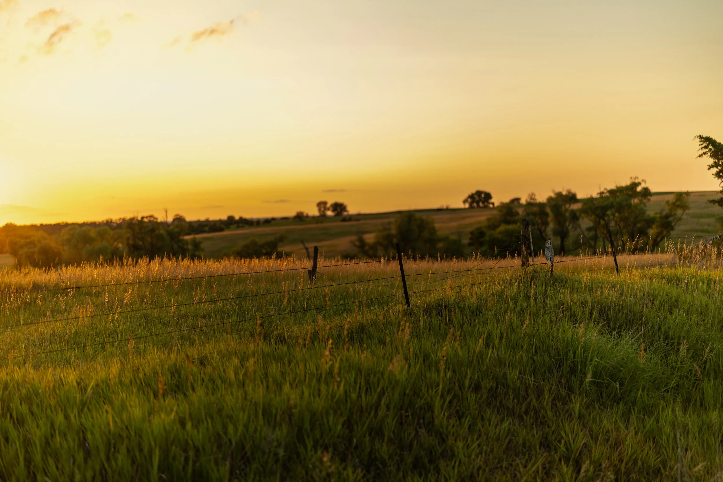 Oak Glen at First Light