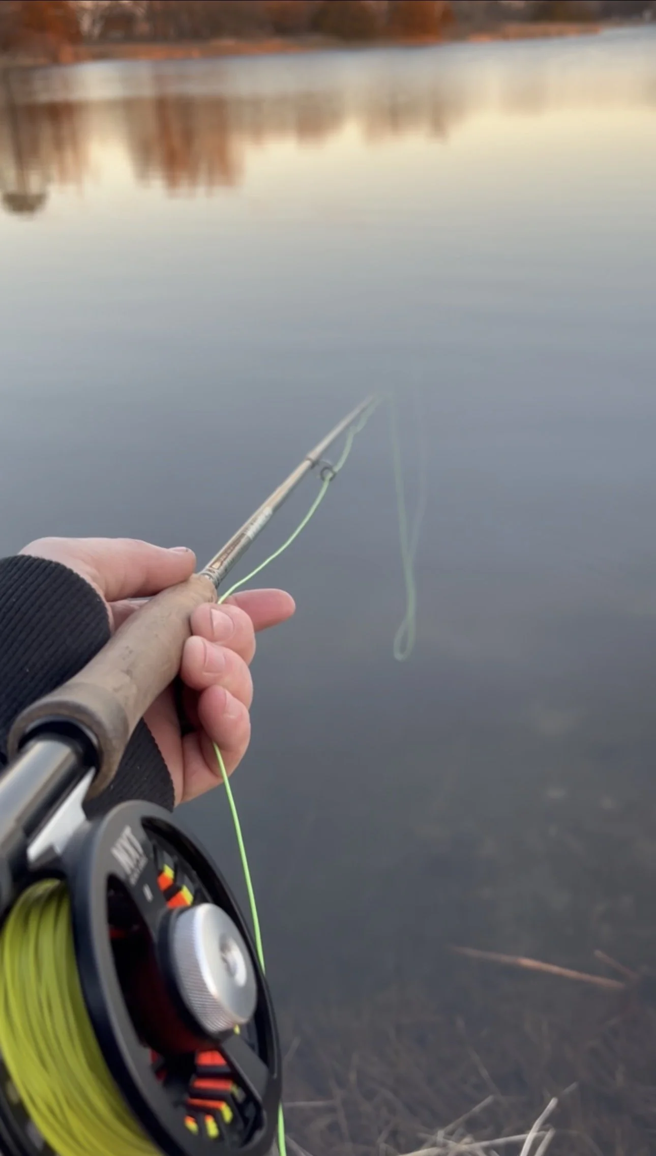 Turkeys on the horizon 