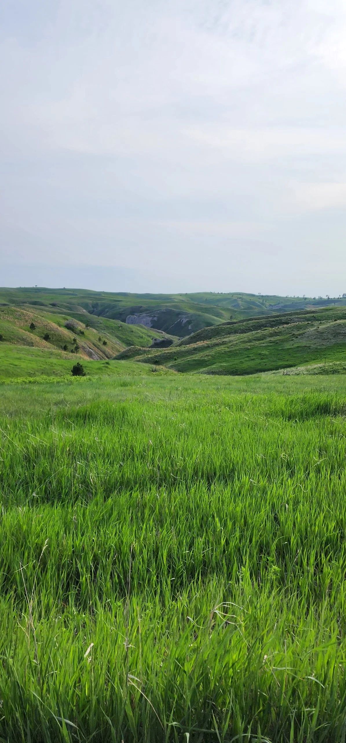 Chadron State Park /
Chadron, Nebraska