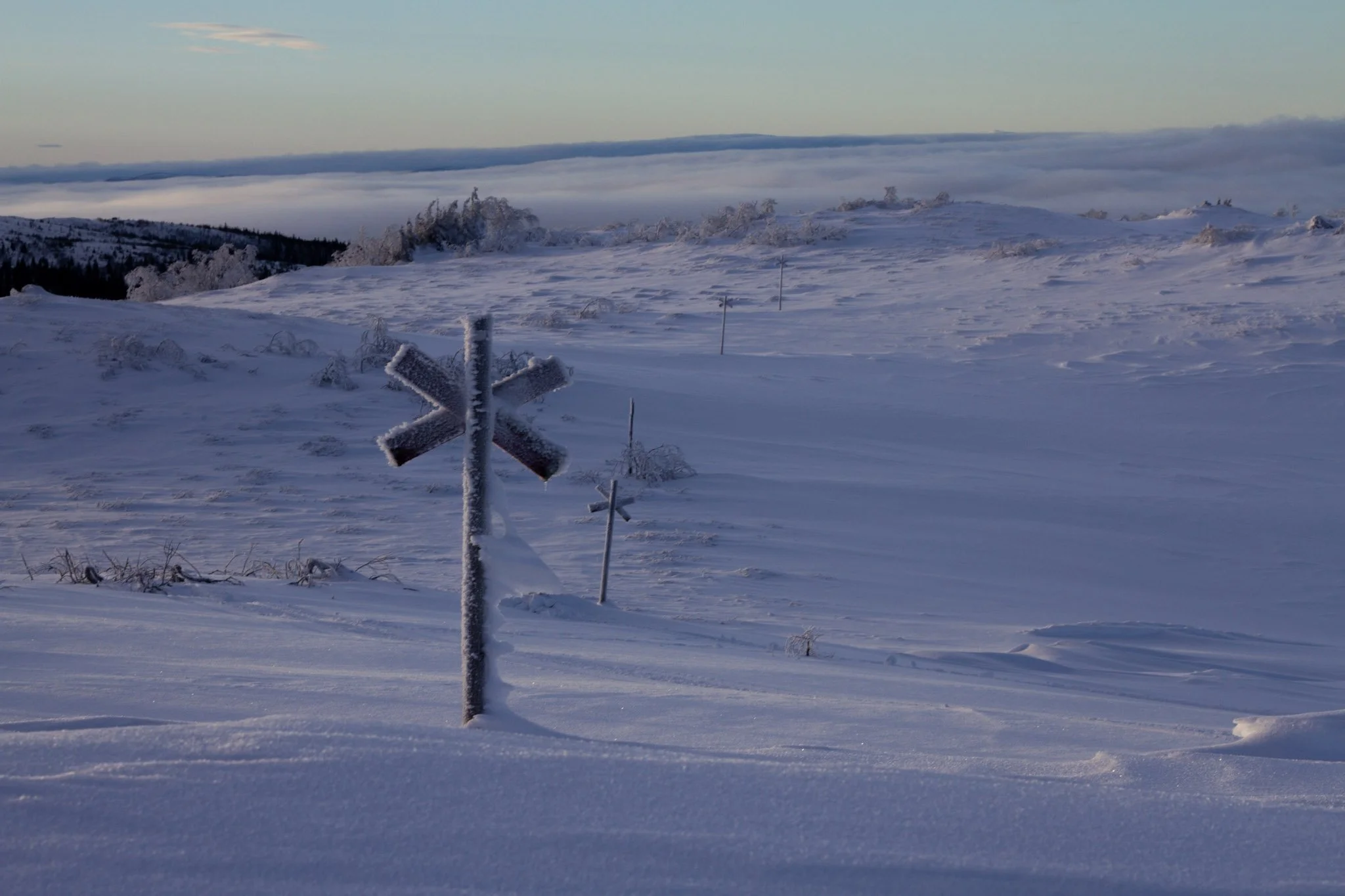 2026-01-18 12 (5).jpg