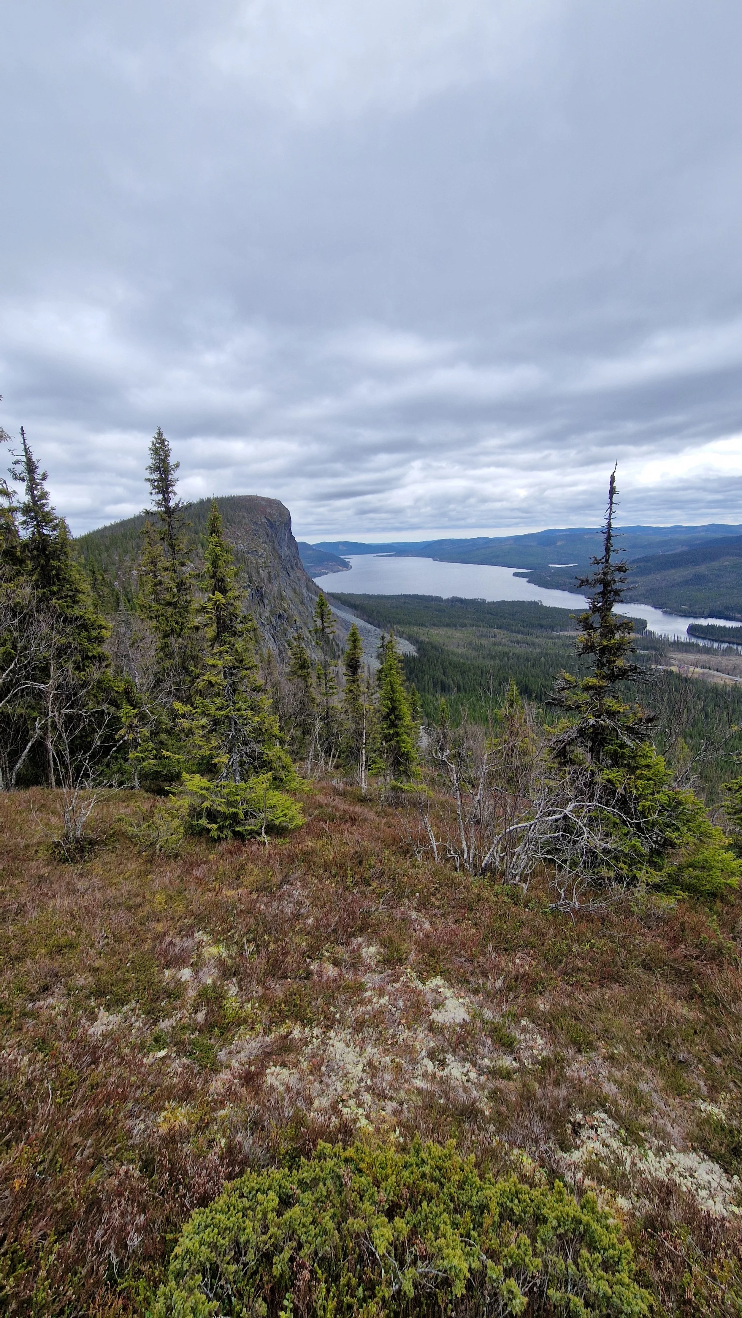 Utsikt kalberget
