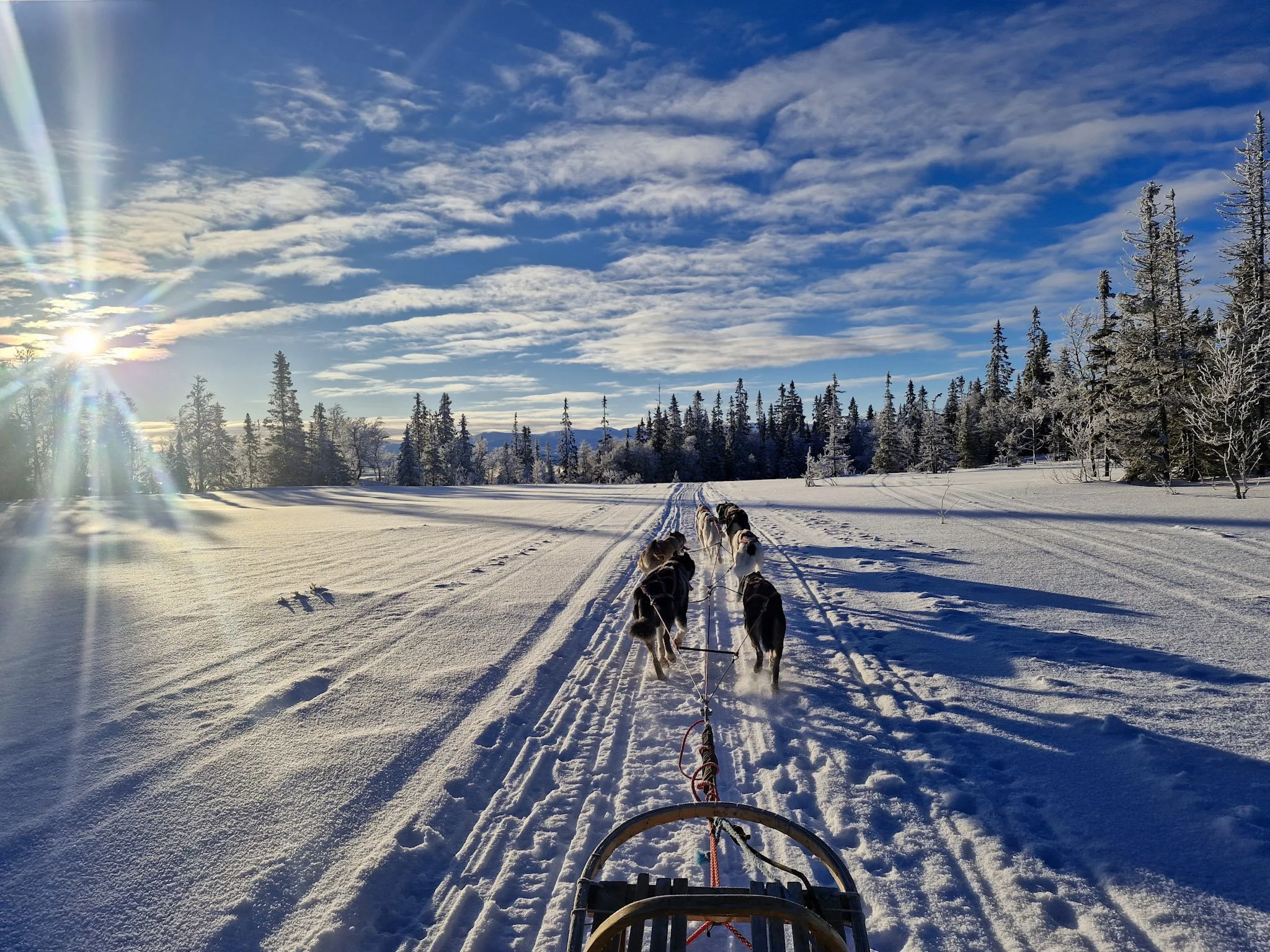 20260126_121411 (1).jpg