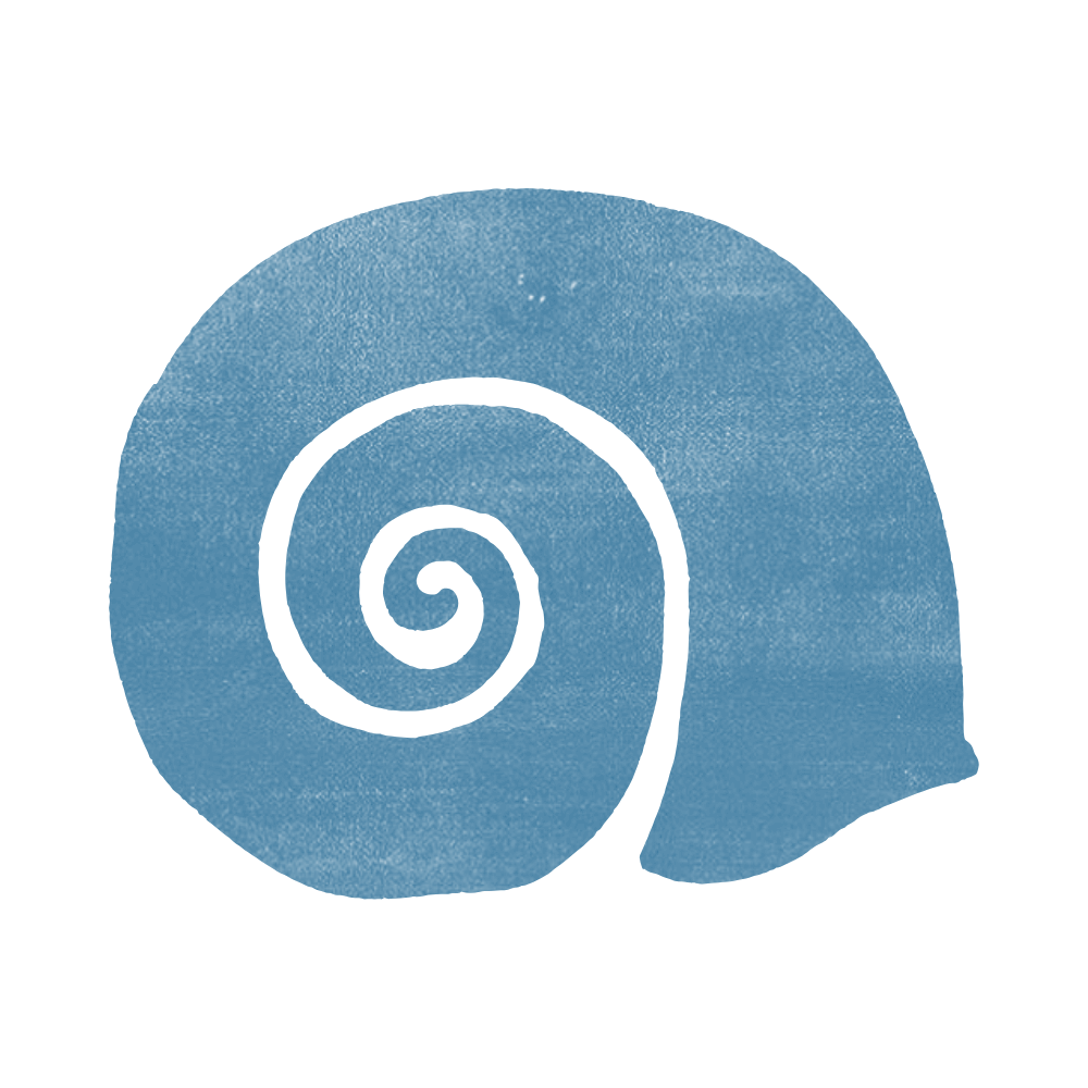 A blue watercolor illustration of a seashell with a spiral design.