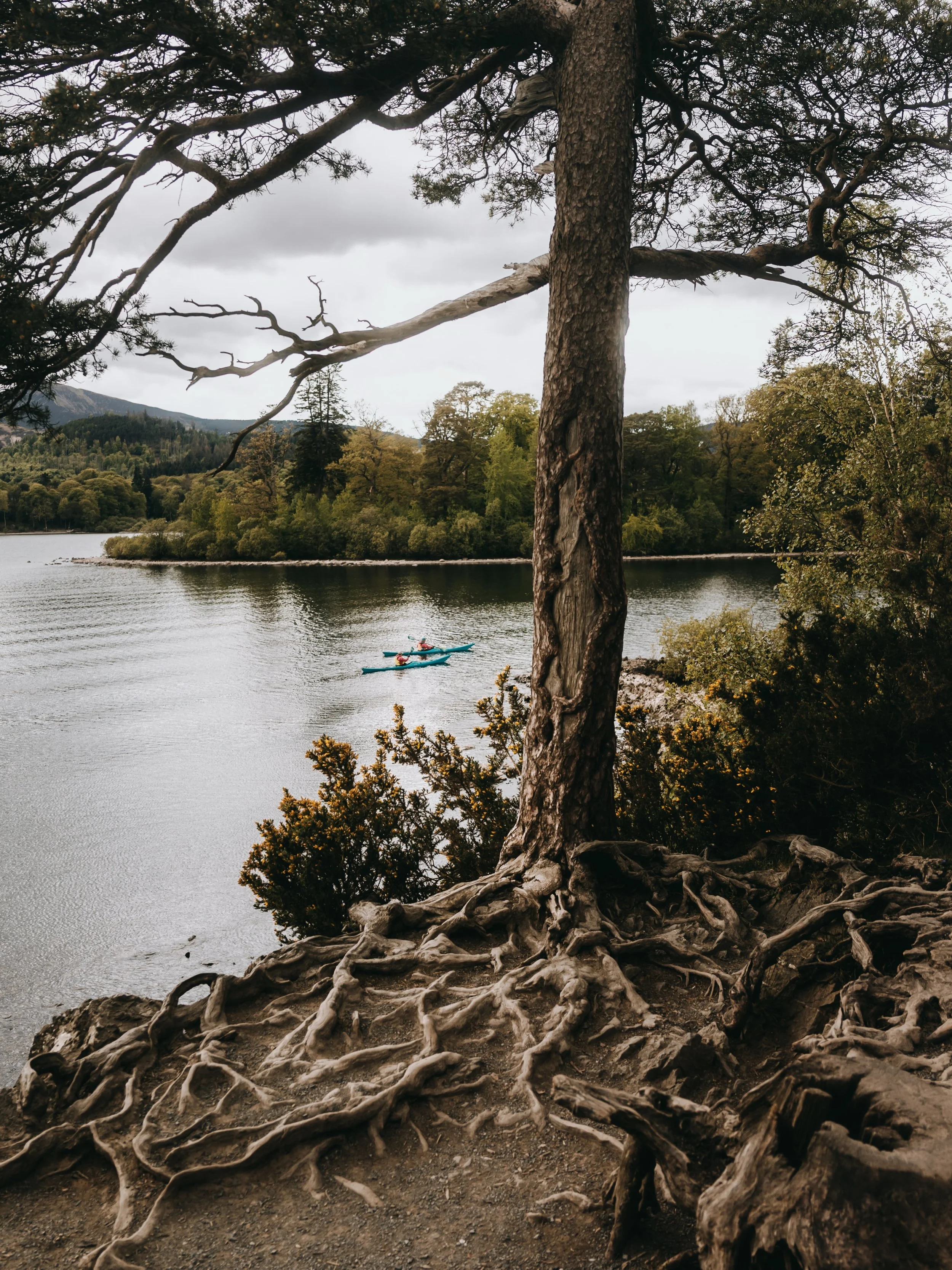 A peaceful moment at Friars Crag.