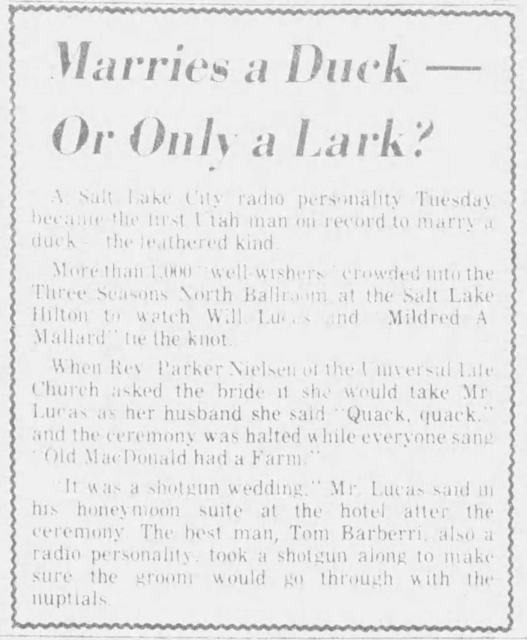 Marrying a Duck in 1976