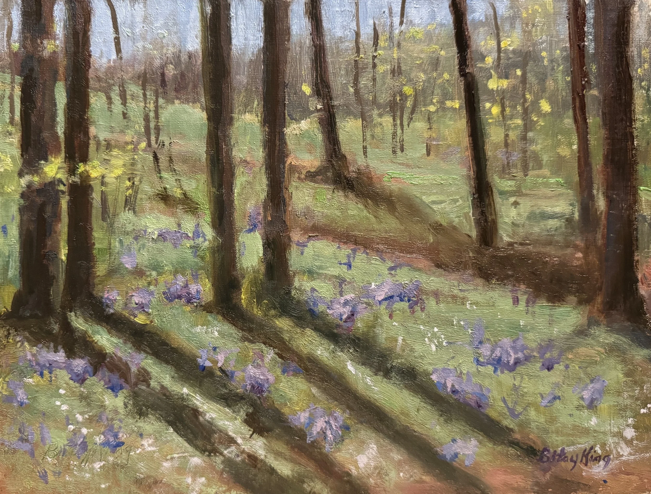 Larkspur in Bloom