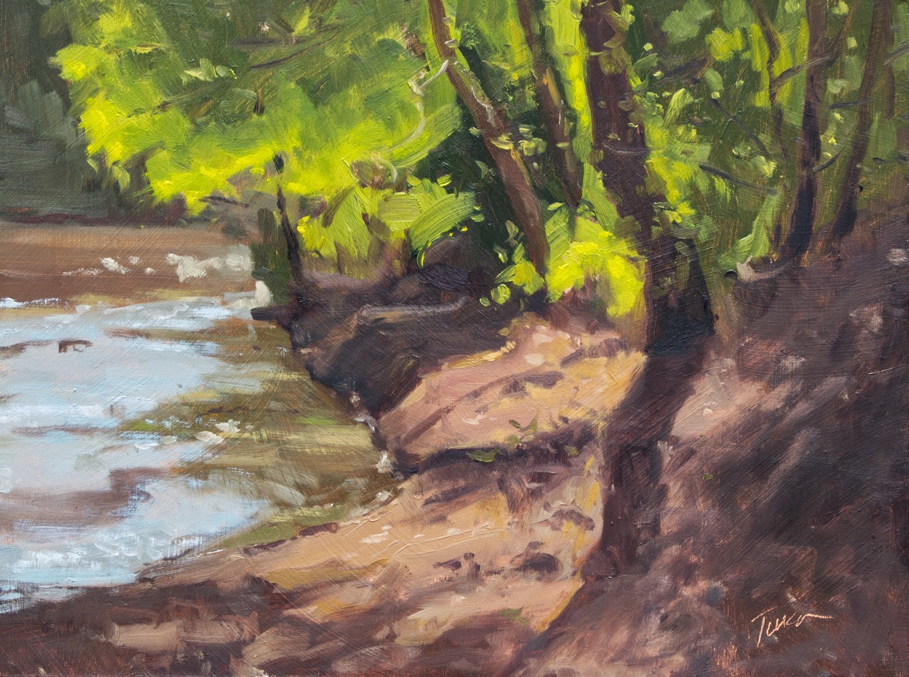 kyleturco_sunlight-on-the-bank.jpg