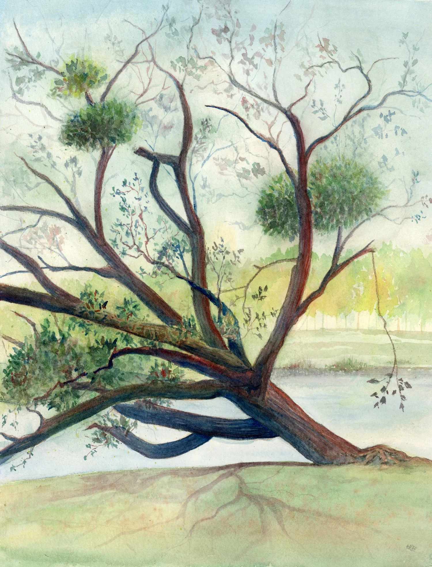 MirandaFuller_NoddingToSevierLake_Watercolor_12x9.jpg