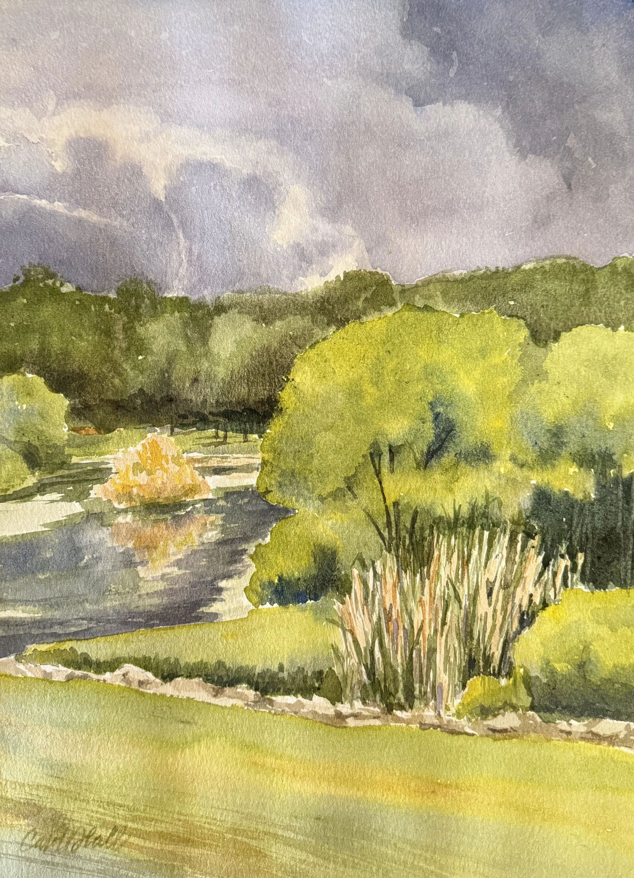 CarolVHall_Bulrushes_watercolor_14x11..jpeg