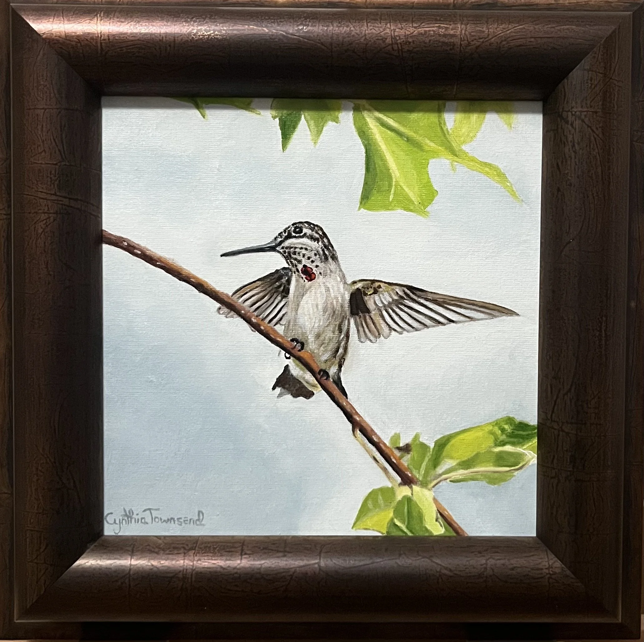 CynthiaTownsend_RubyHummingbird_oil_8x8.jpeg