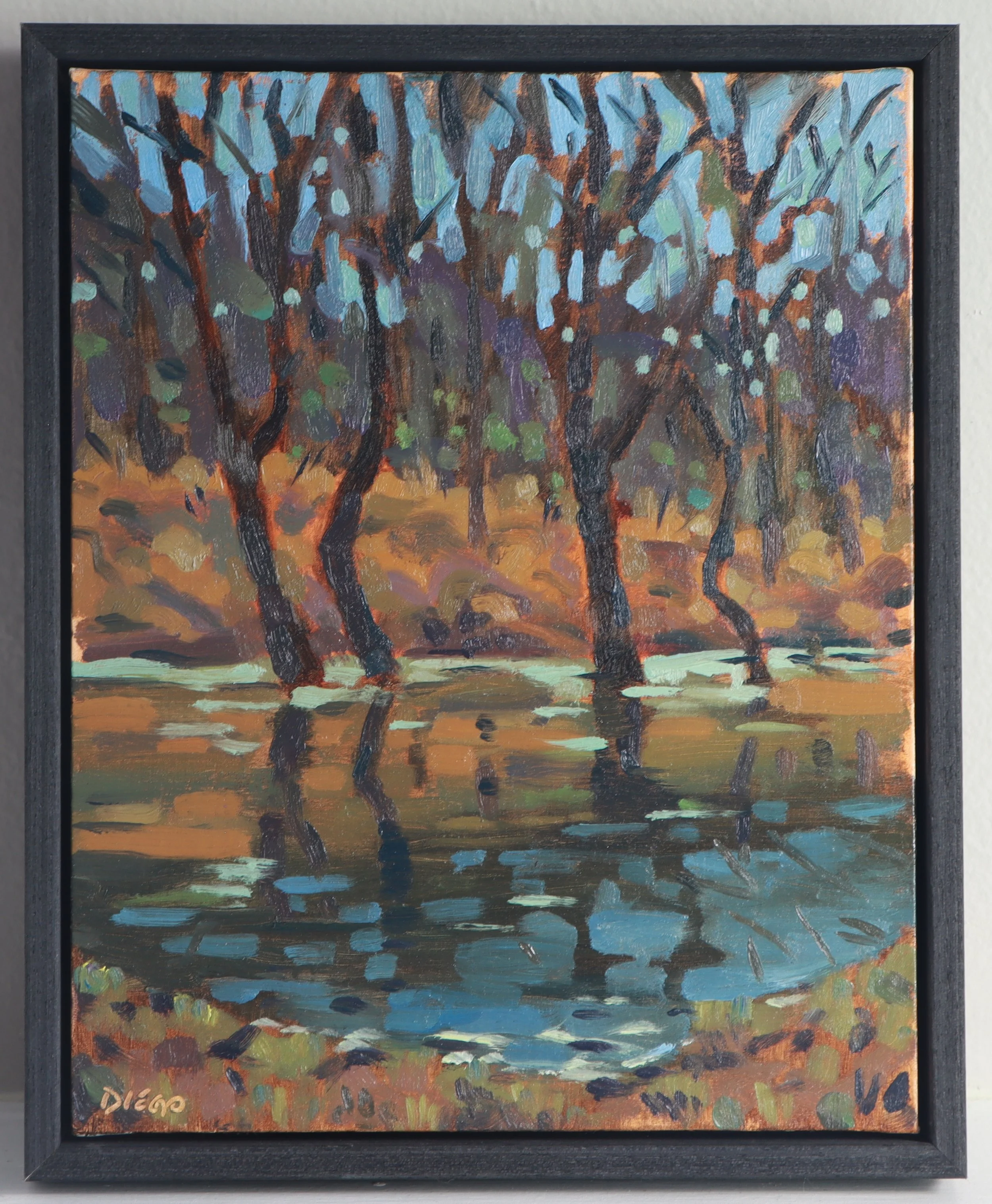 DiegoFishburn_North Shelby Pond_oil_10x8.JPG