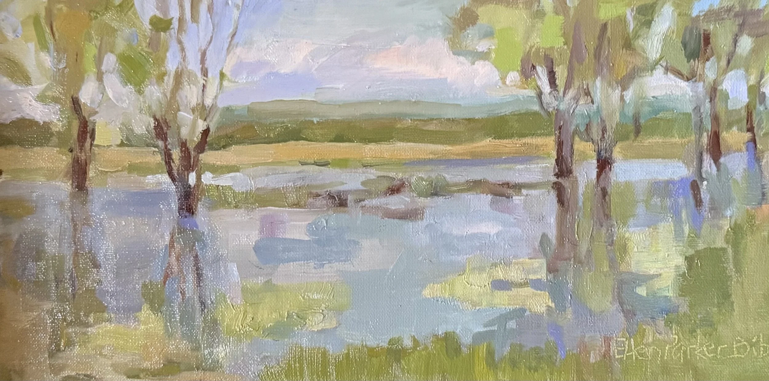 EllenBibb_shelbywetlands_oil_6x12.jpg