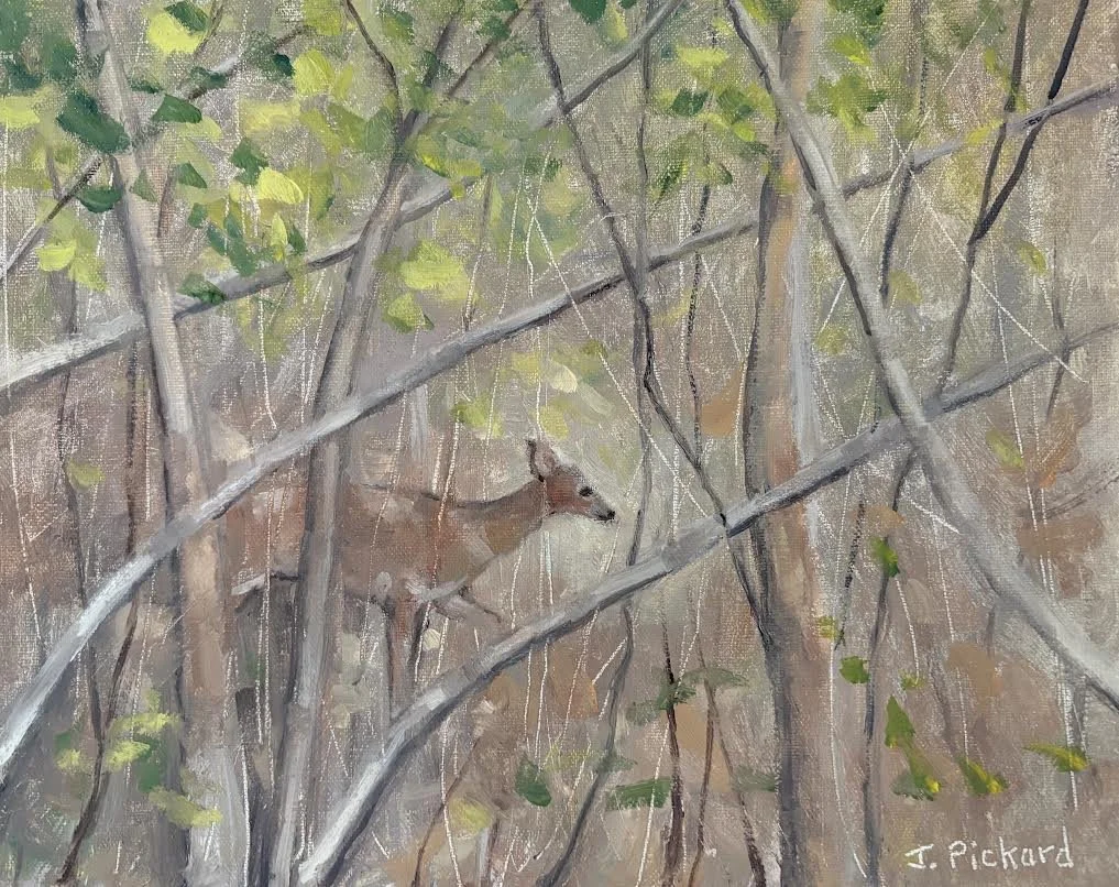 JeannePickard_EverSoSoftly_oil_8x10.jpeg