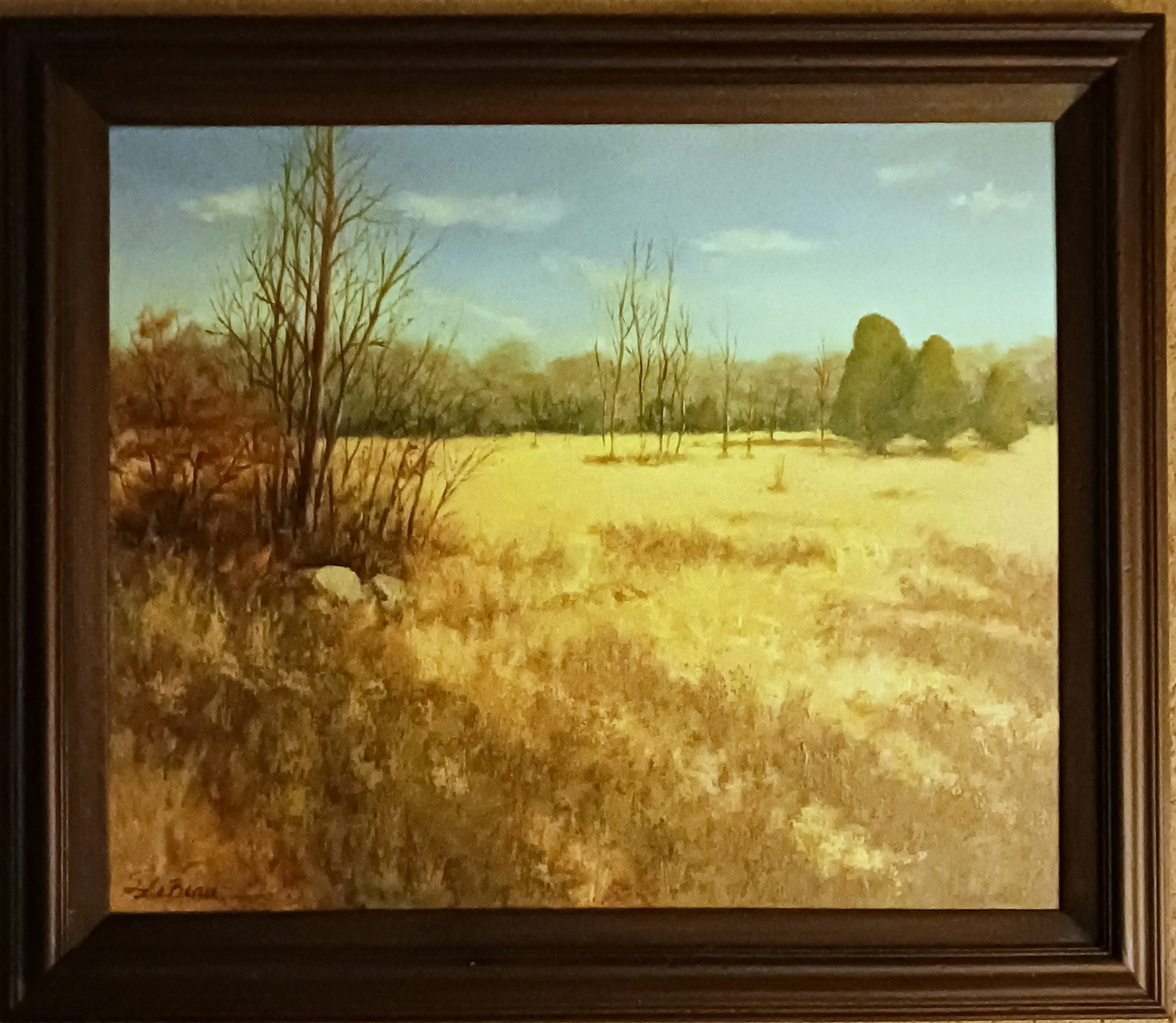 SuzanneLeBeau_Long Shadows_Oil 20x24.jpg