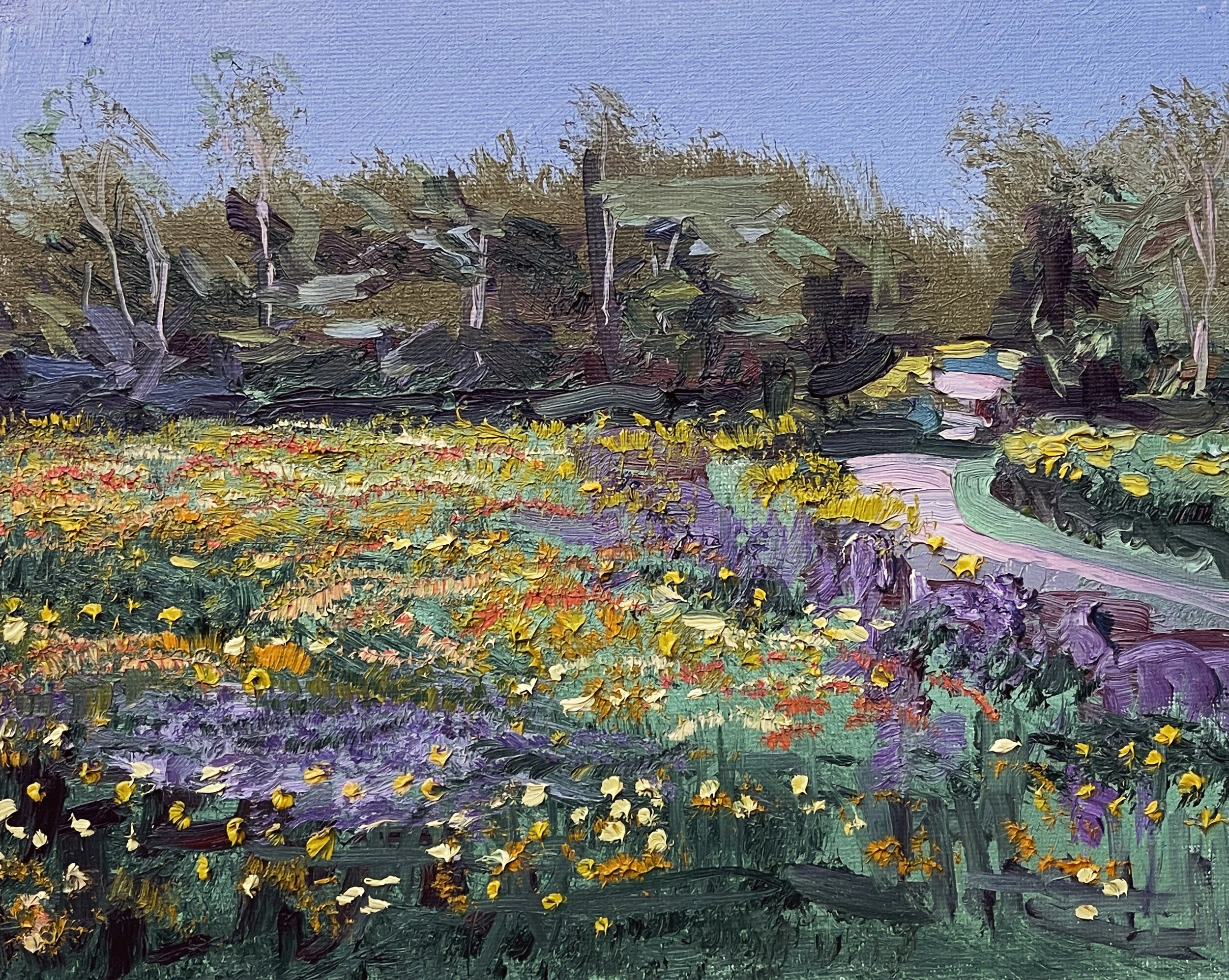 V.F.Iqbal_Superbloom at Shelby_oil_8x10.jpg