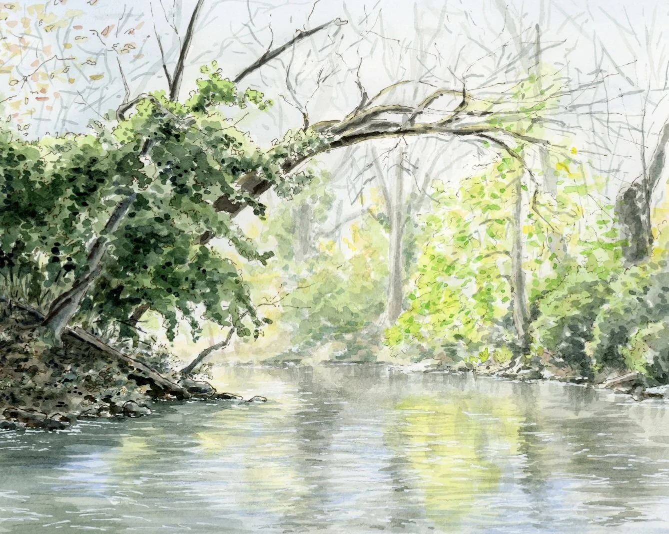 camDolak_warnerParks3_watercolor_10x8.jpg