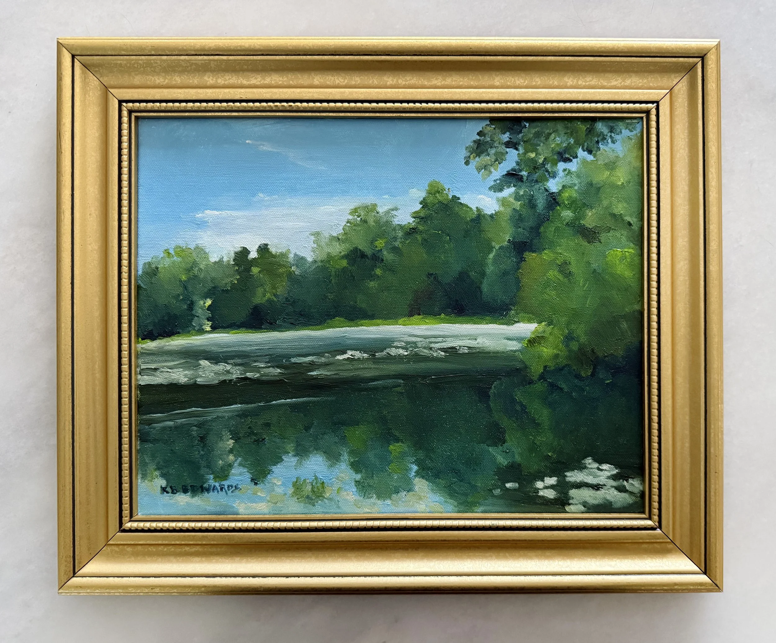 Lily Pond