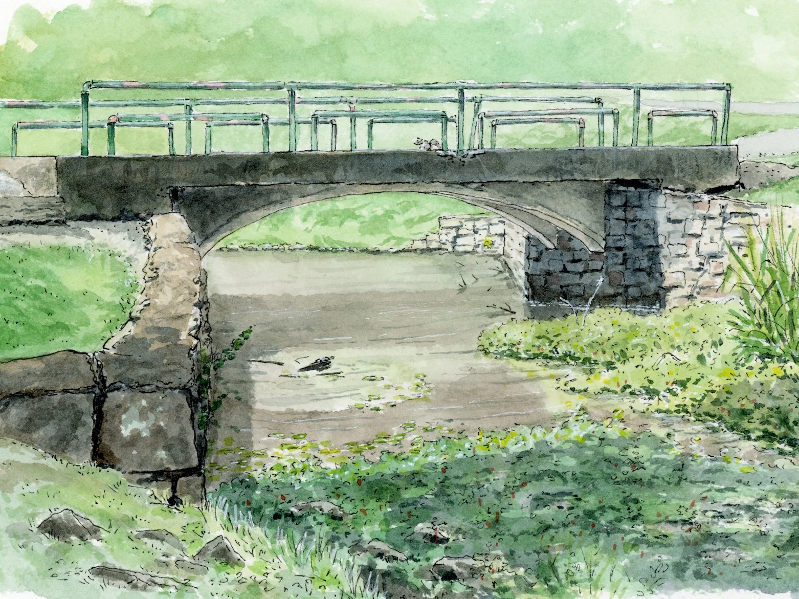 Individual Sponsorship