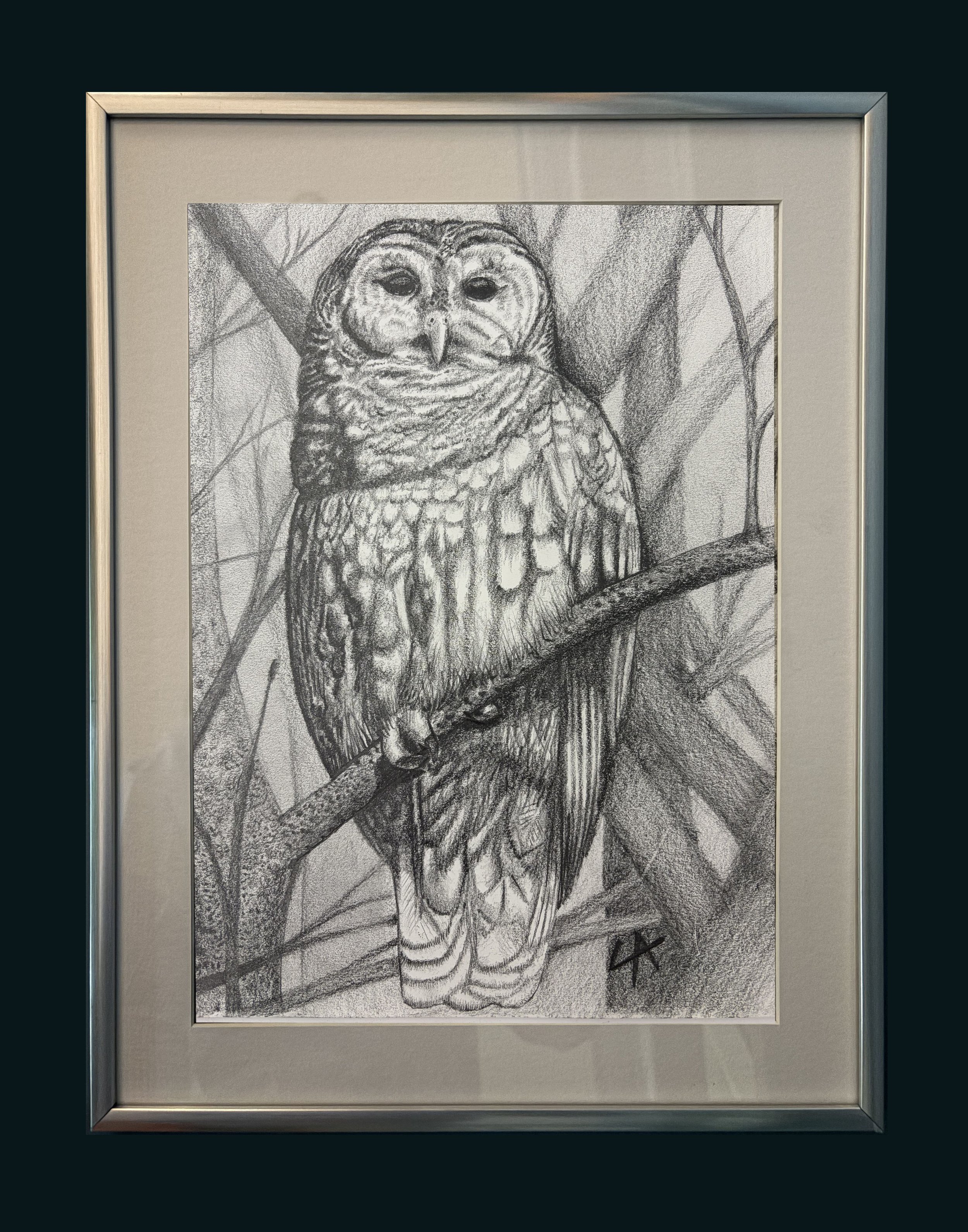 The Owl