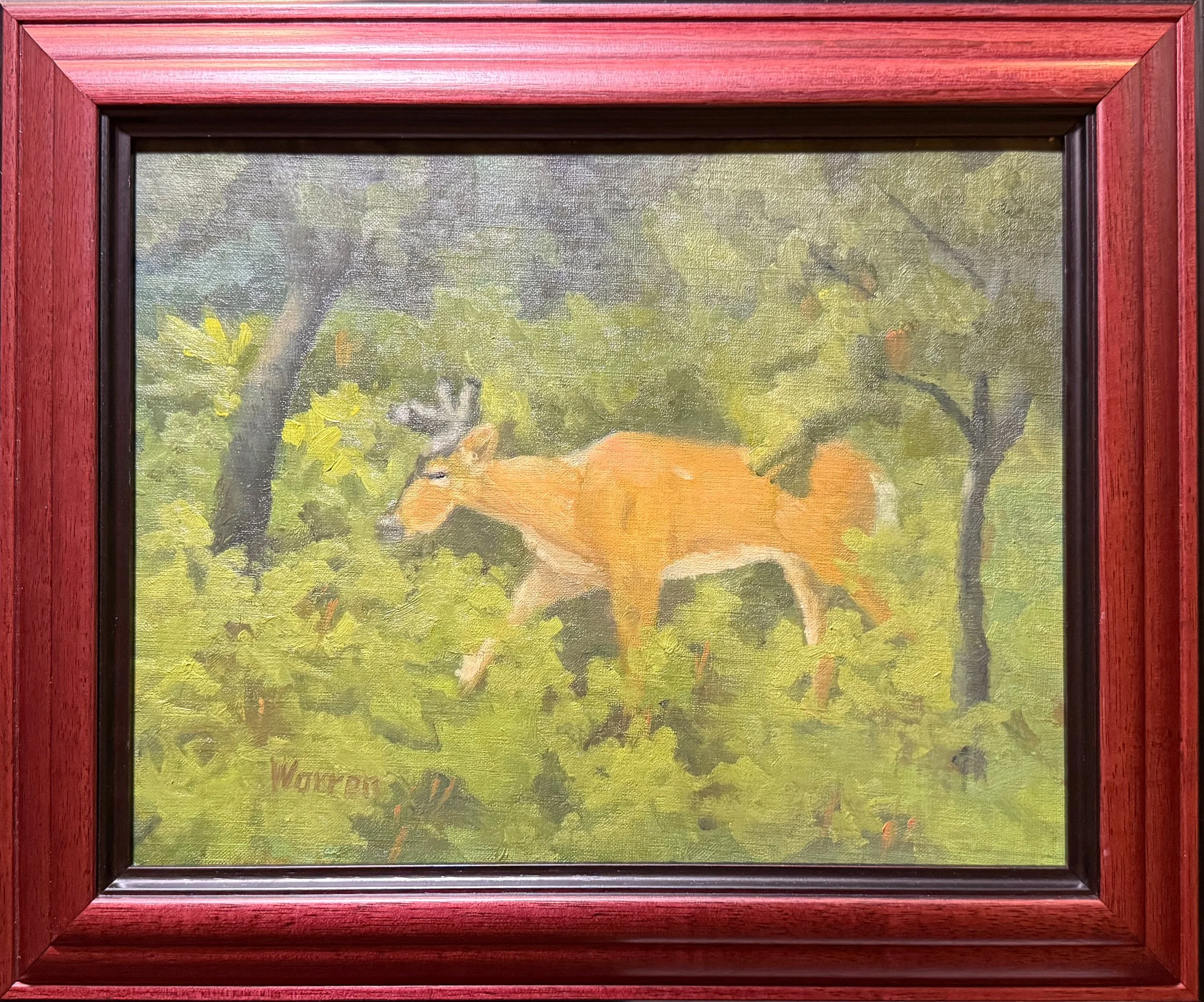 Oh Deer