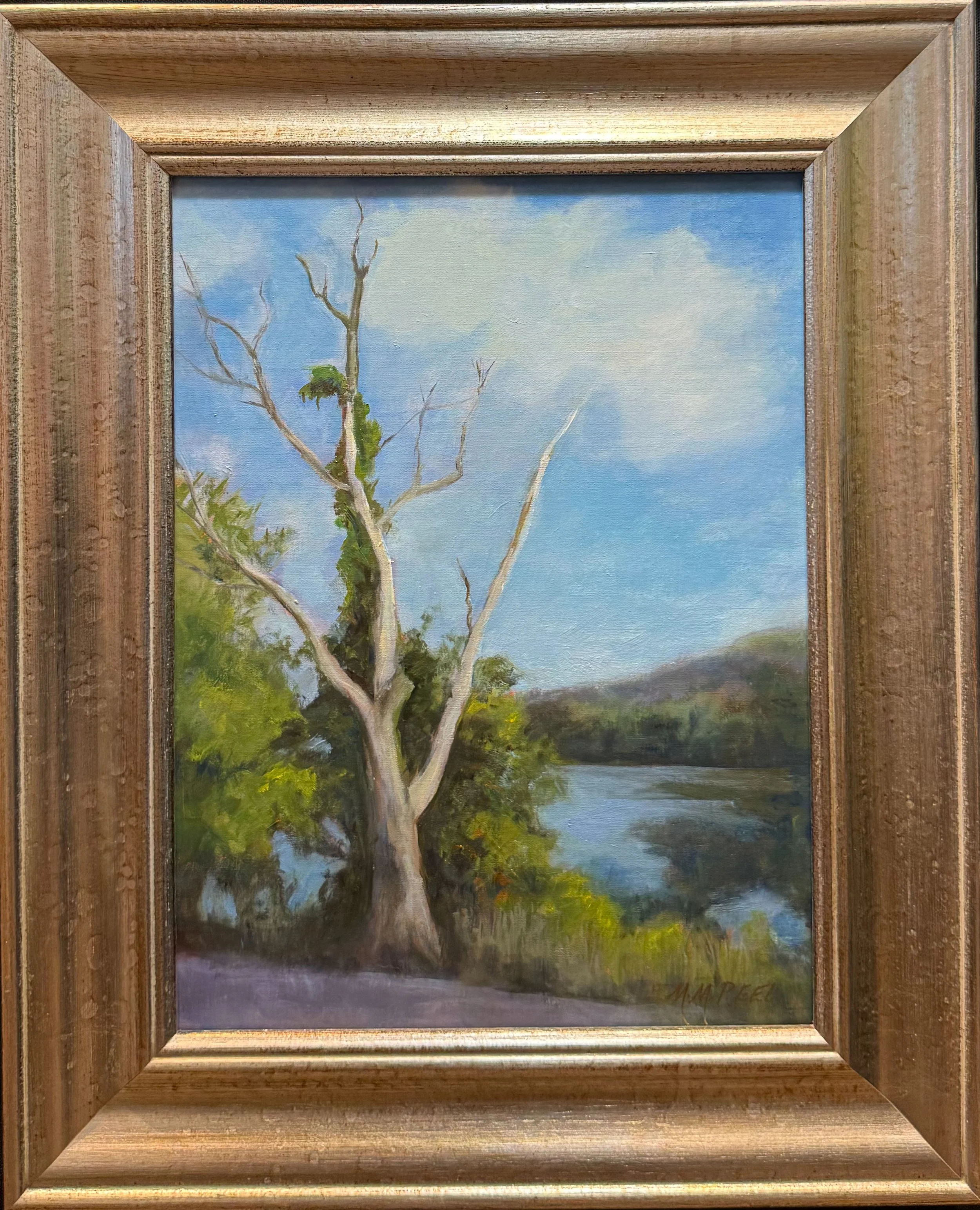 Old Tree by Lake Shore