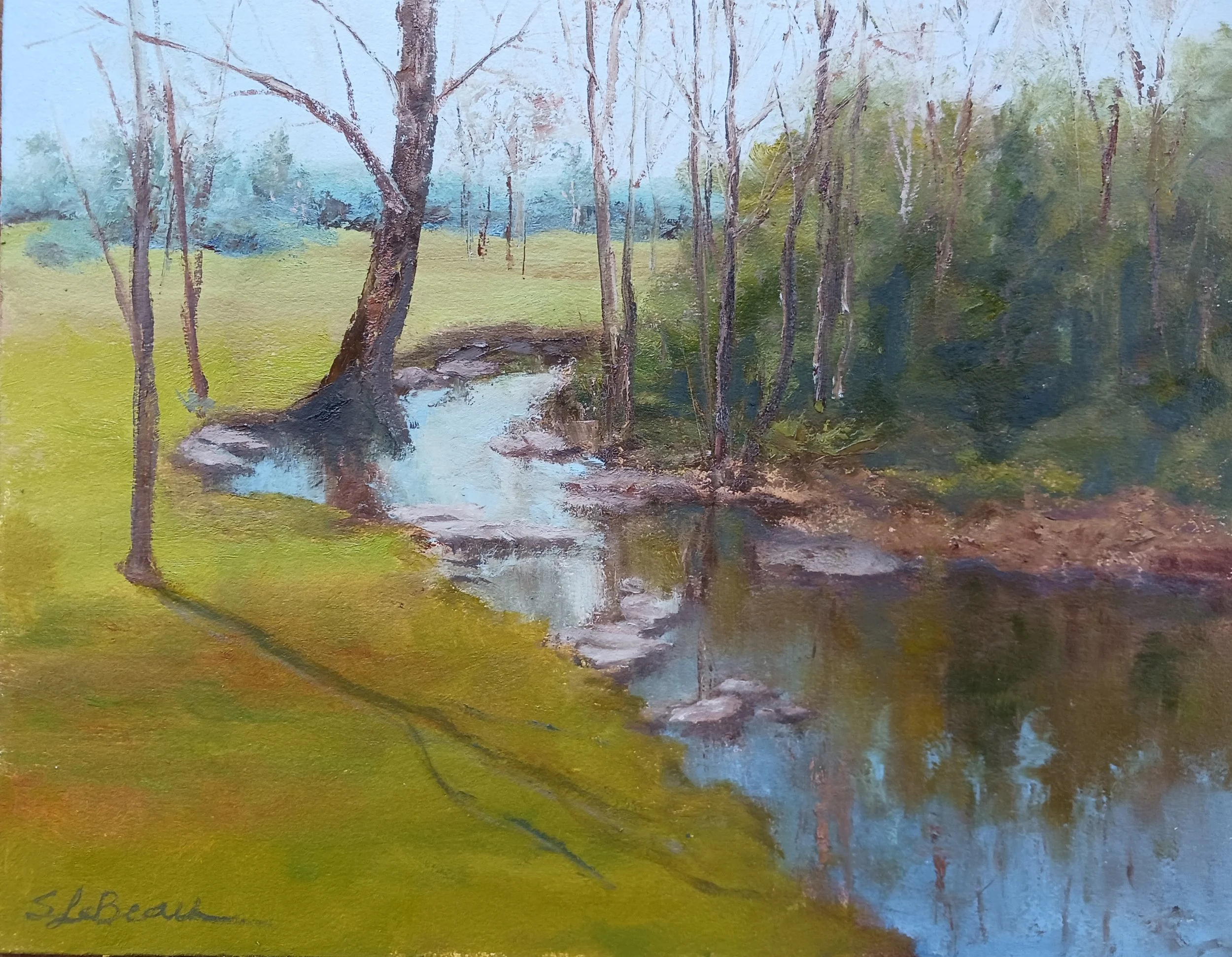 SLeBeau - Sinking Creek 2026.jpg