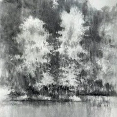 Radnor Spring.MP.1jpeg.jpeg