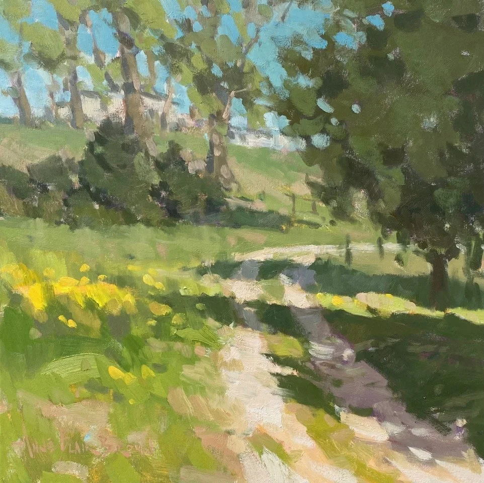 The Nature of Light with Anne Blair Brown